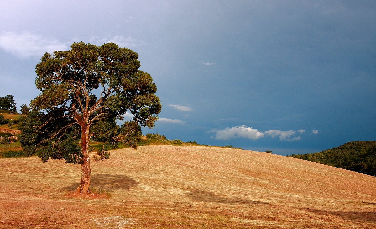 Colors from Casentino