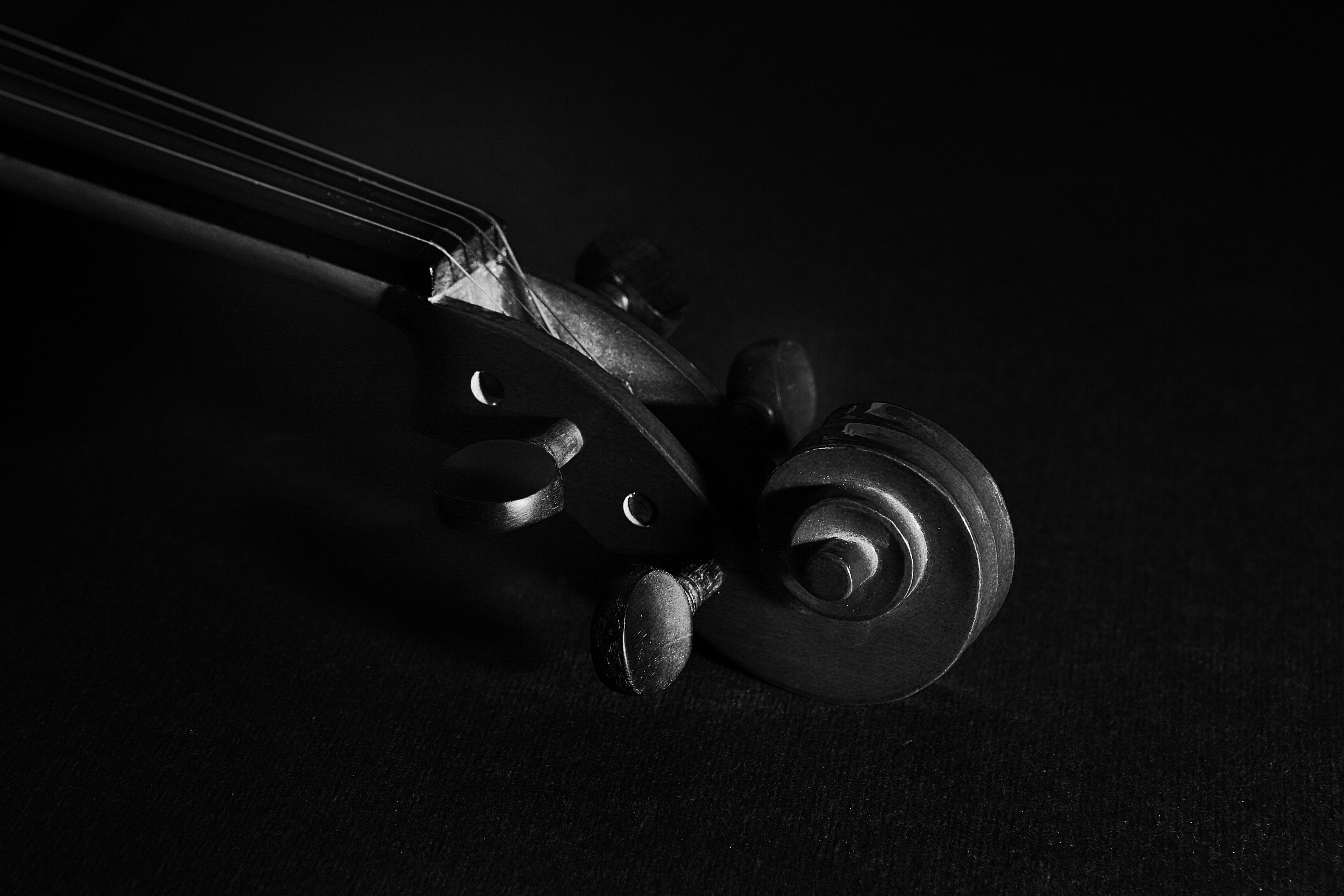 Where does the music