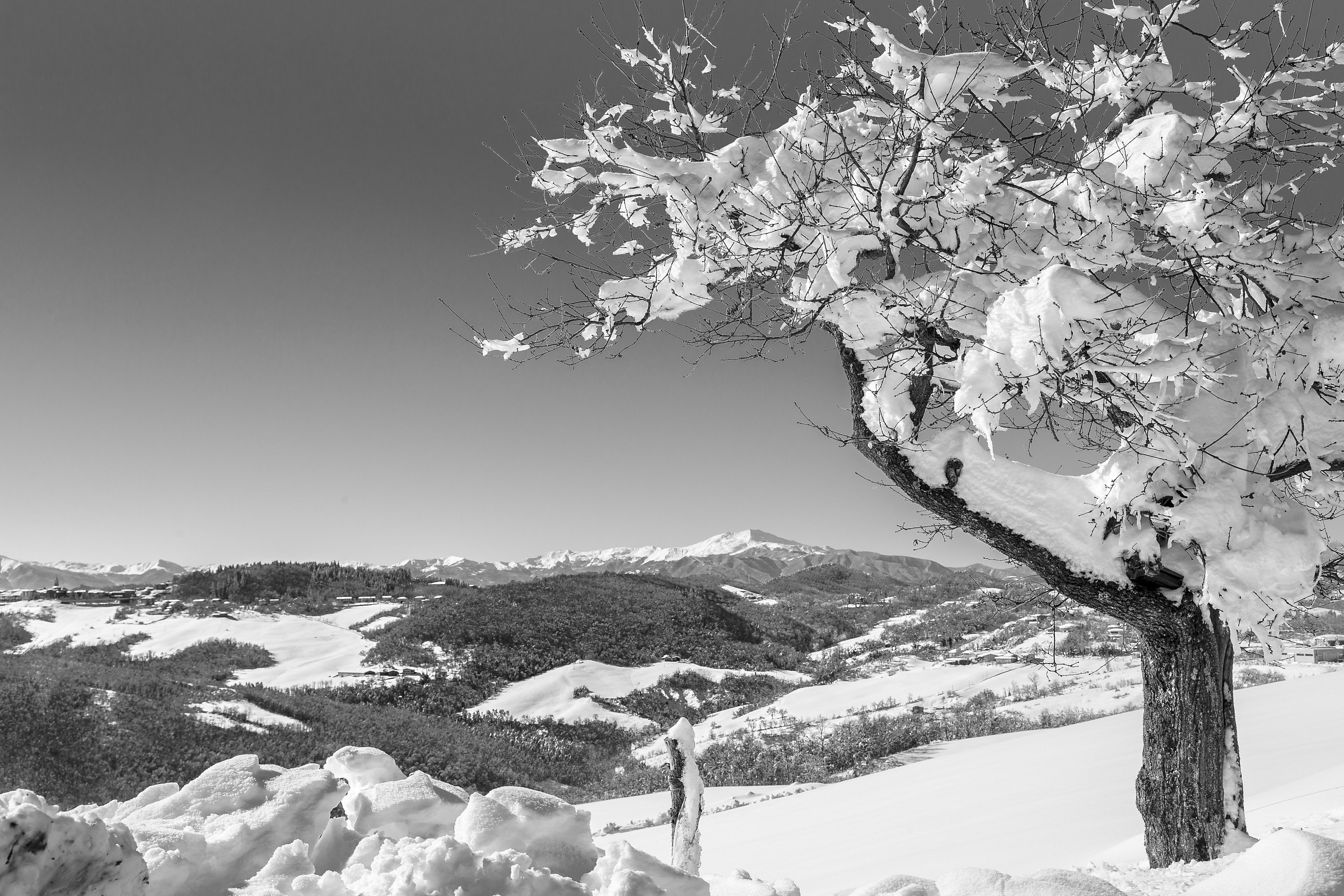 and the valley put the white dress ...