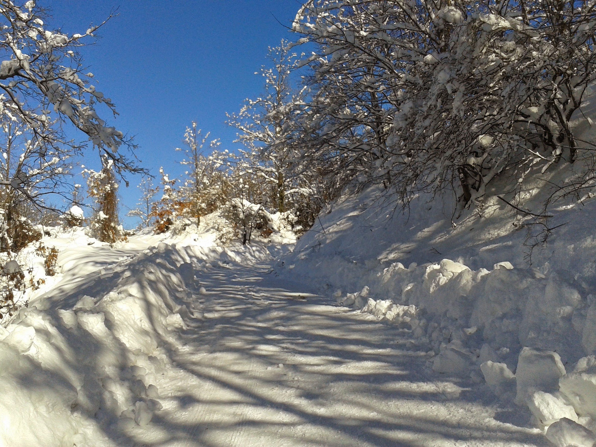 Strada di accesso al Poderone