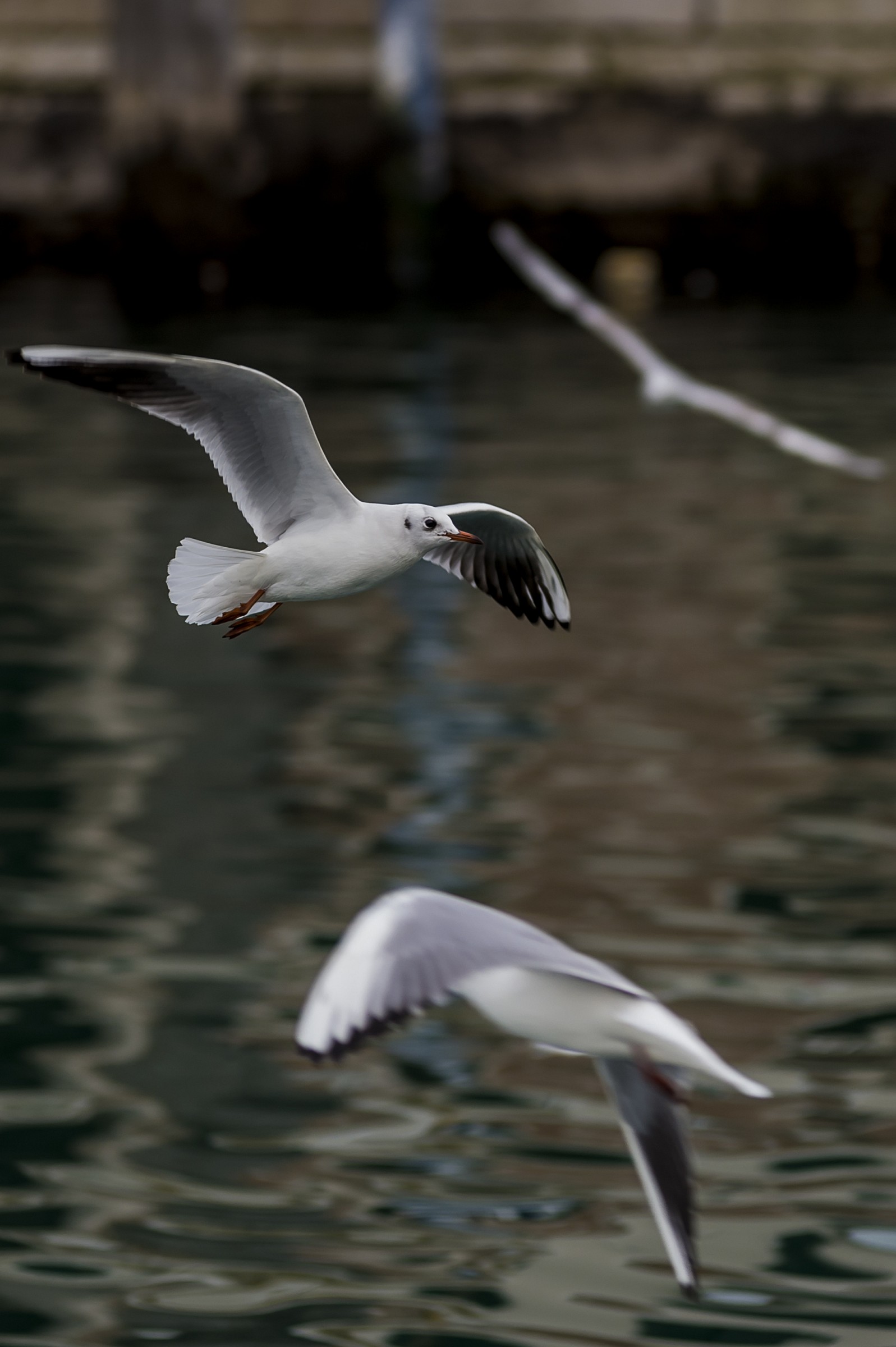 Prima durante e dopo