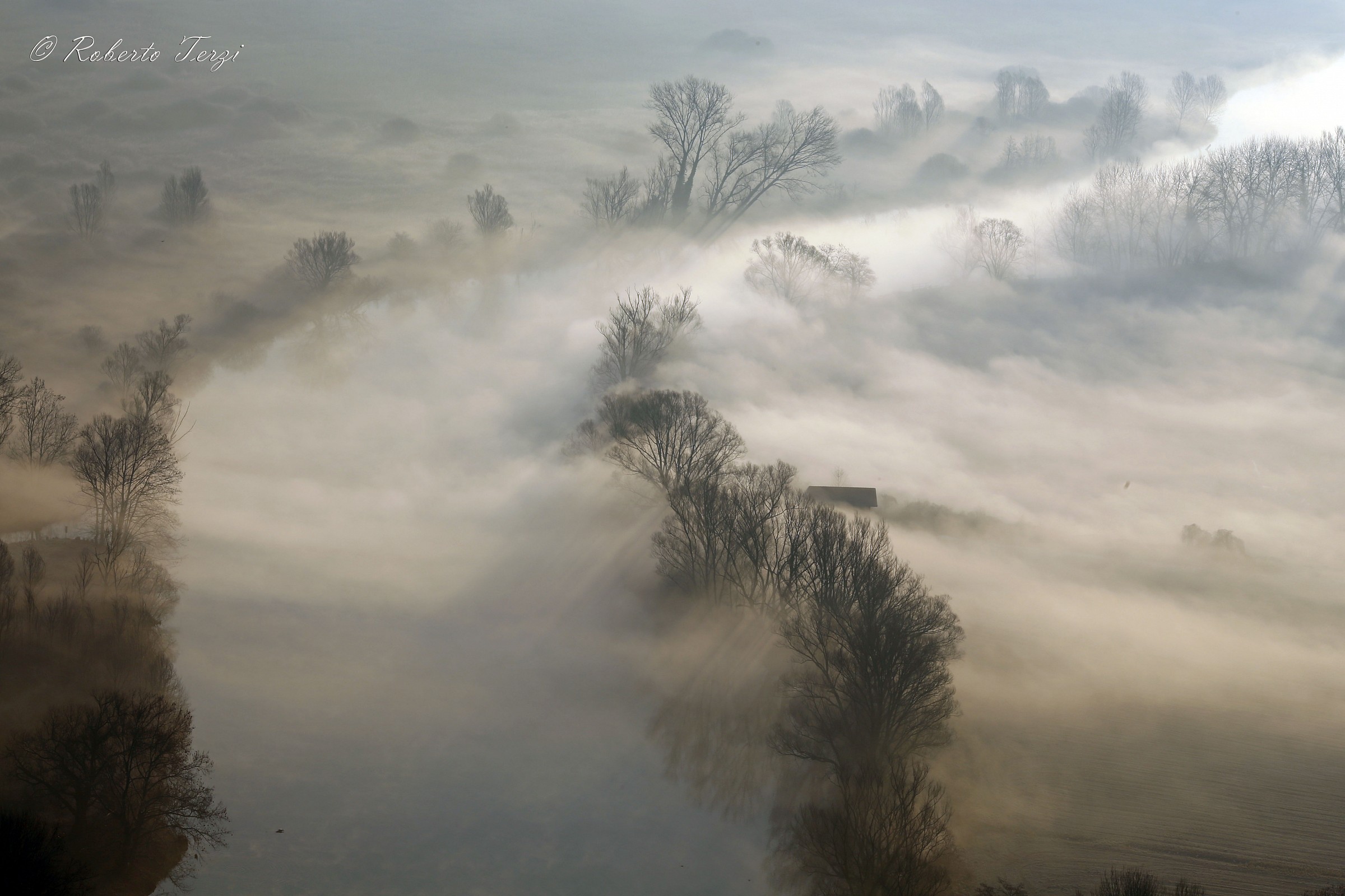 nebbia sull'adda