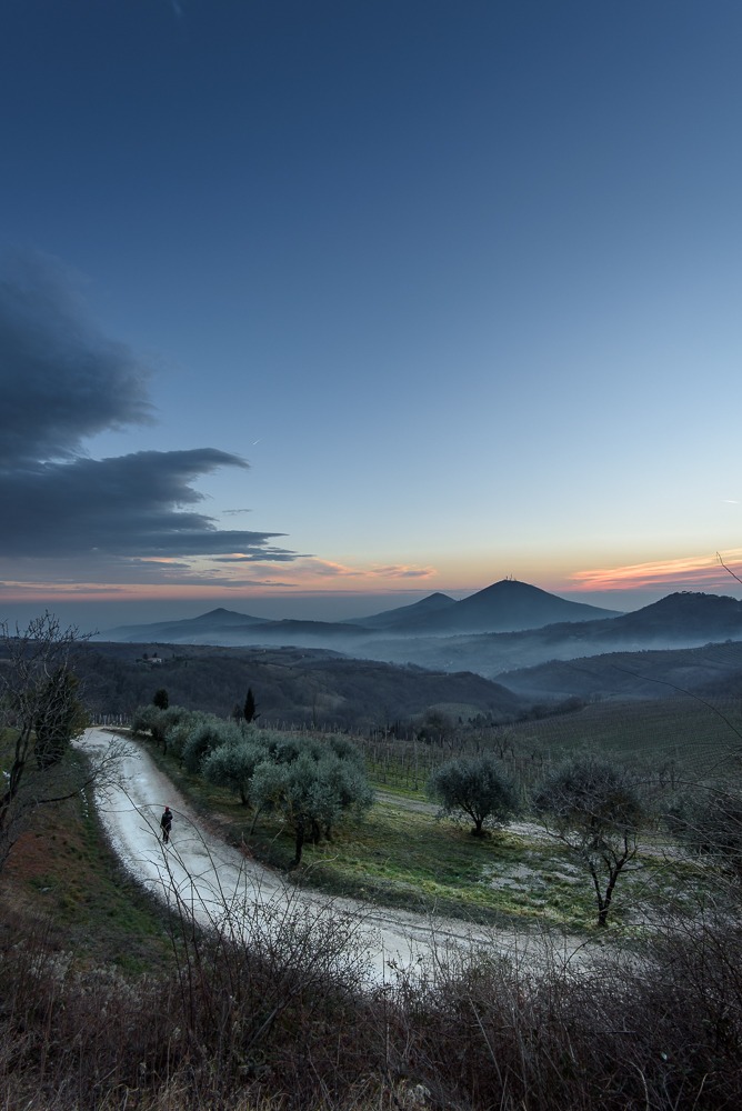 Passeggiando sui Colli
