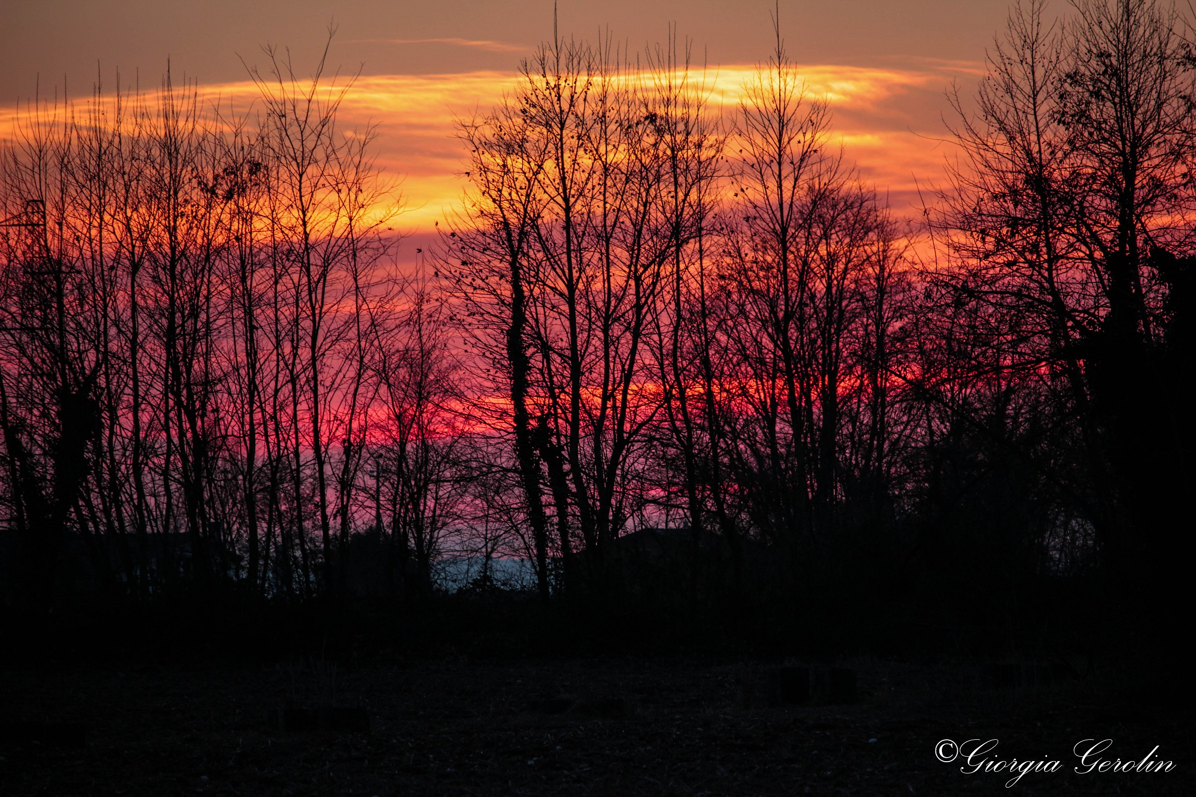 Spennellate di colori