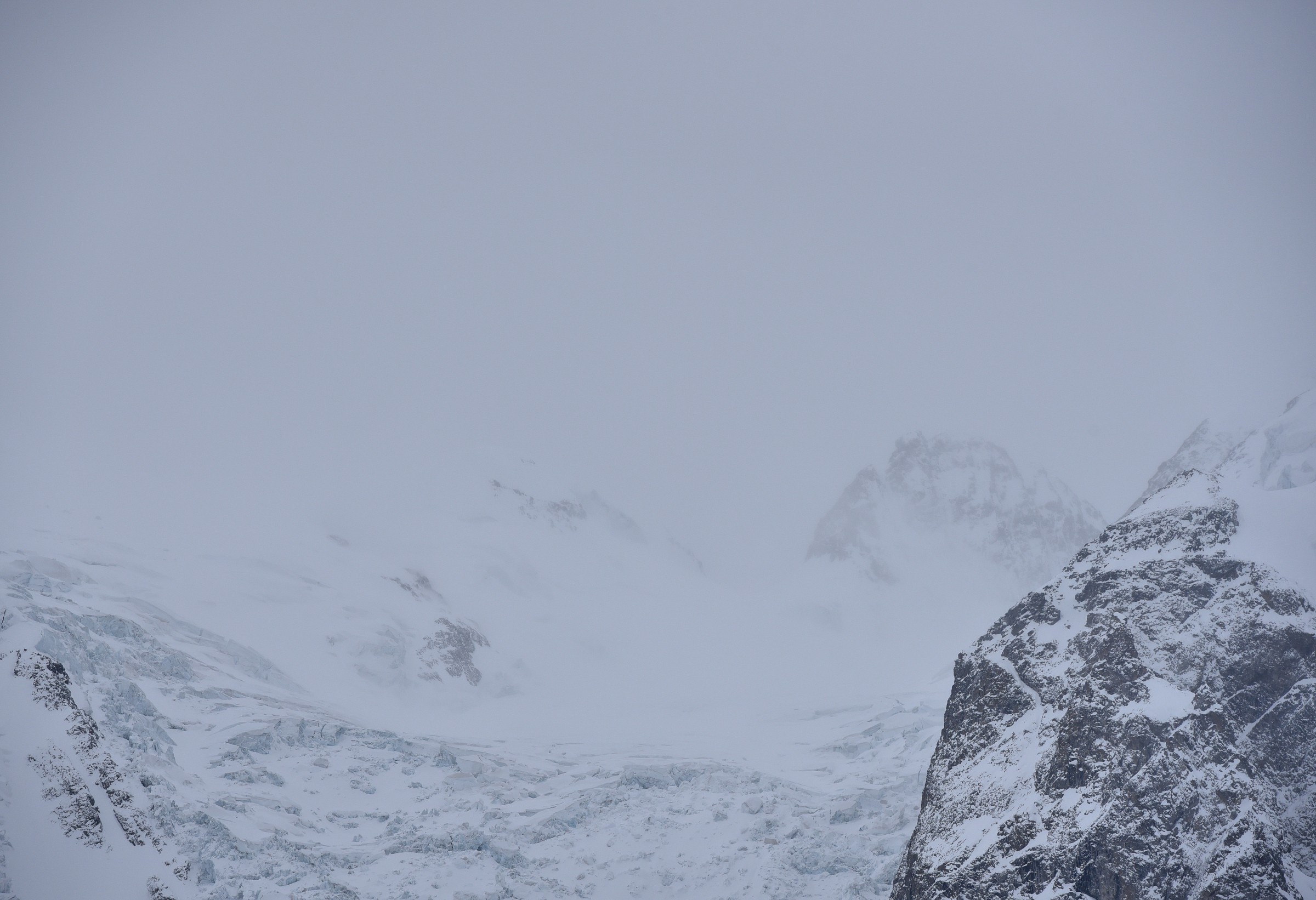 12 - avevo da poco il 70-200 mm  f 2,8