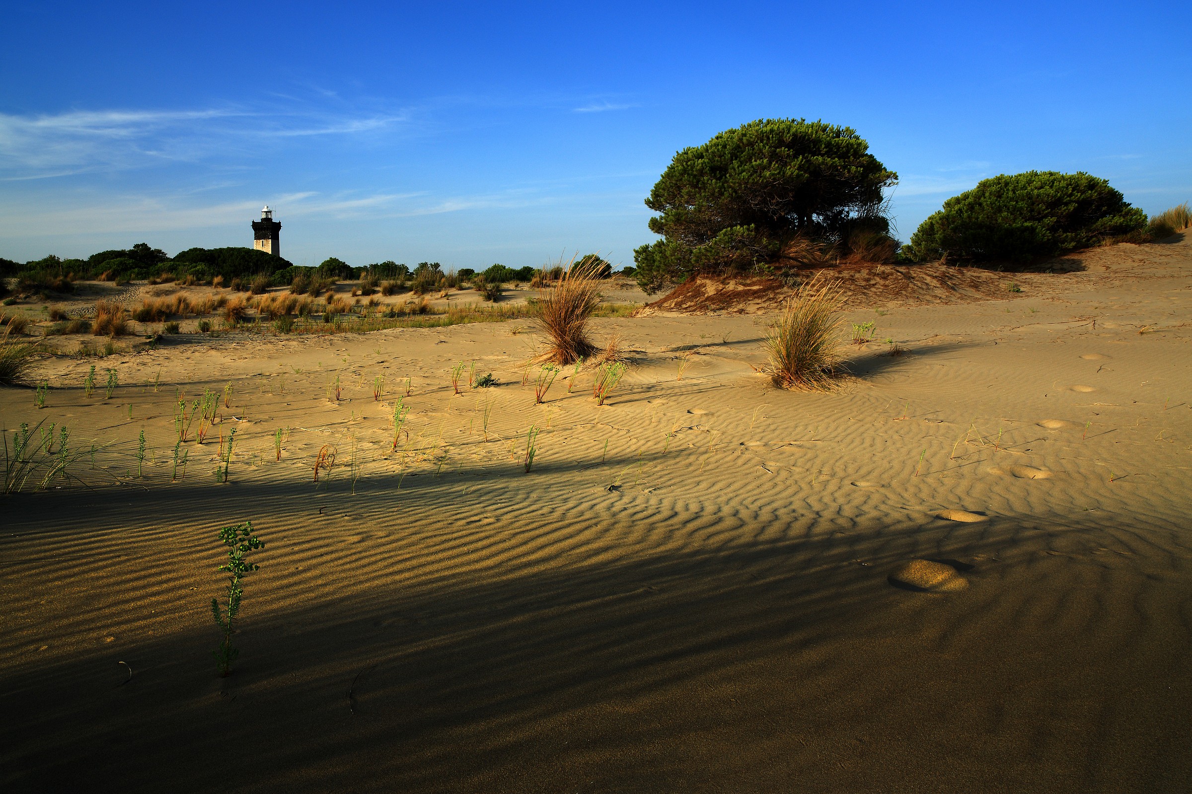 ombre lunghe sulla spiaggia deserta