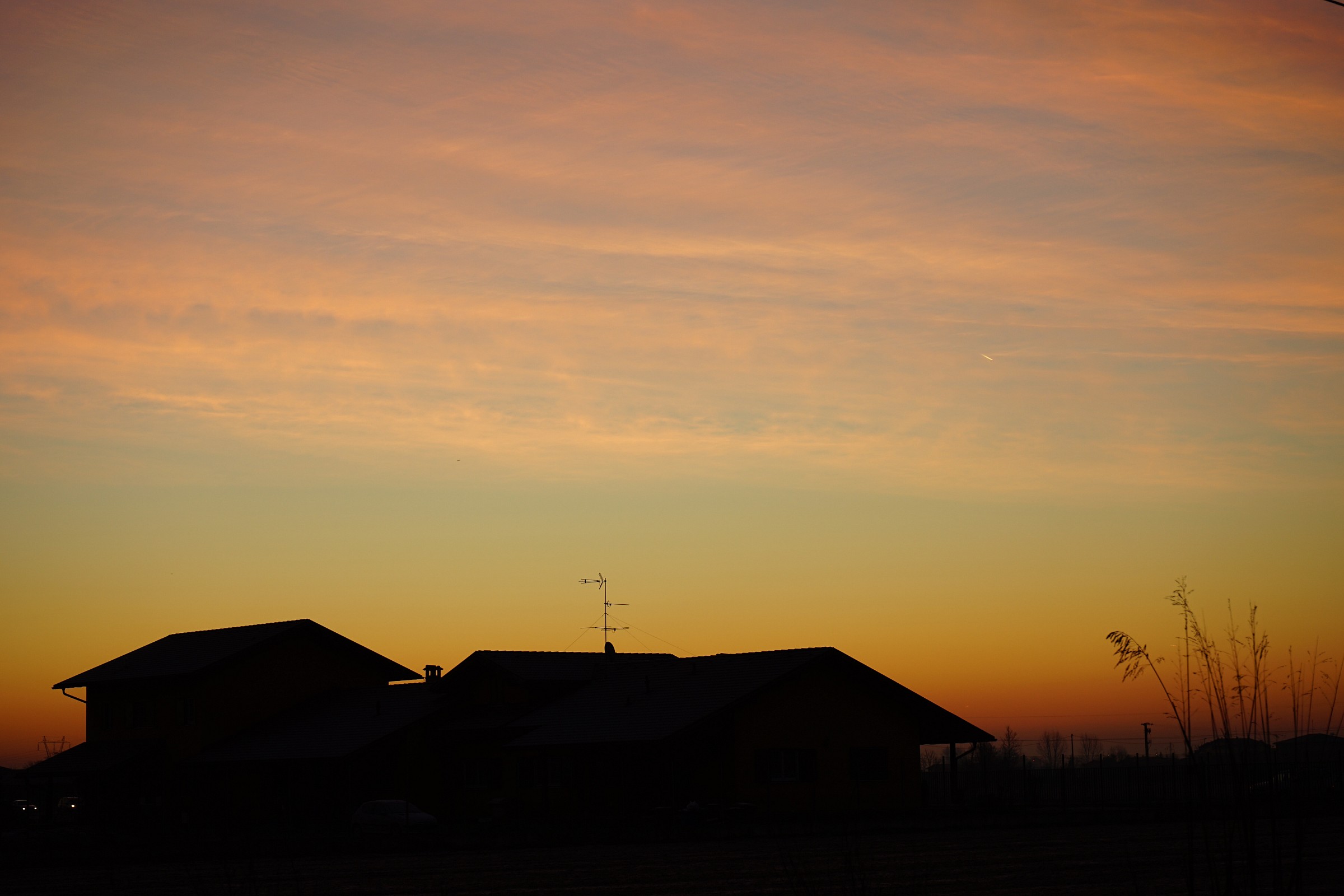 Alba,  campagna pavese