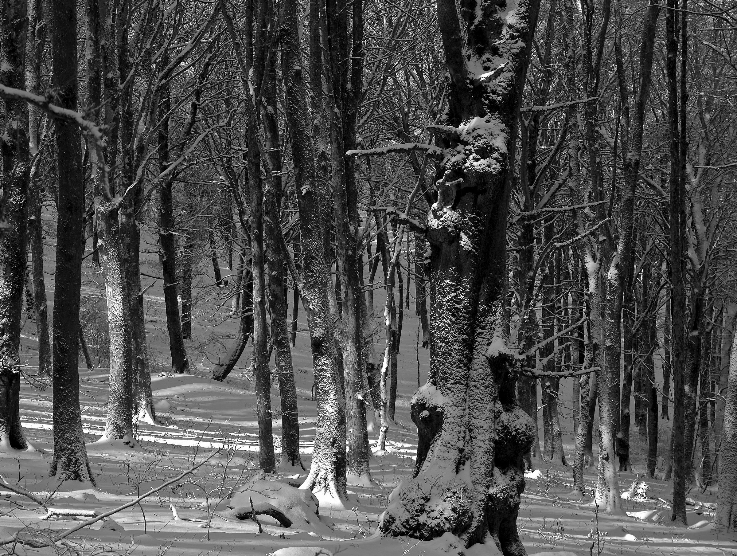 on stones and gardens sleeps ..