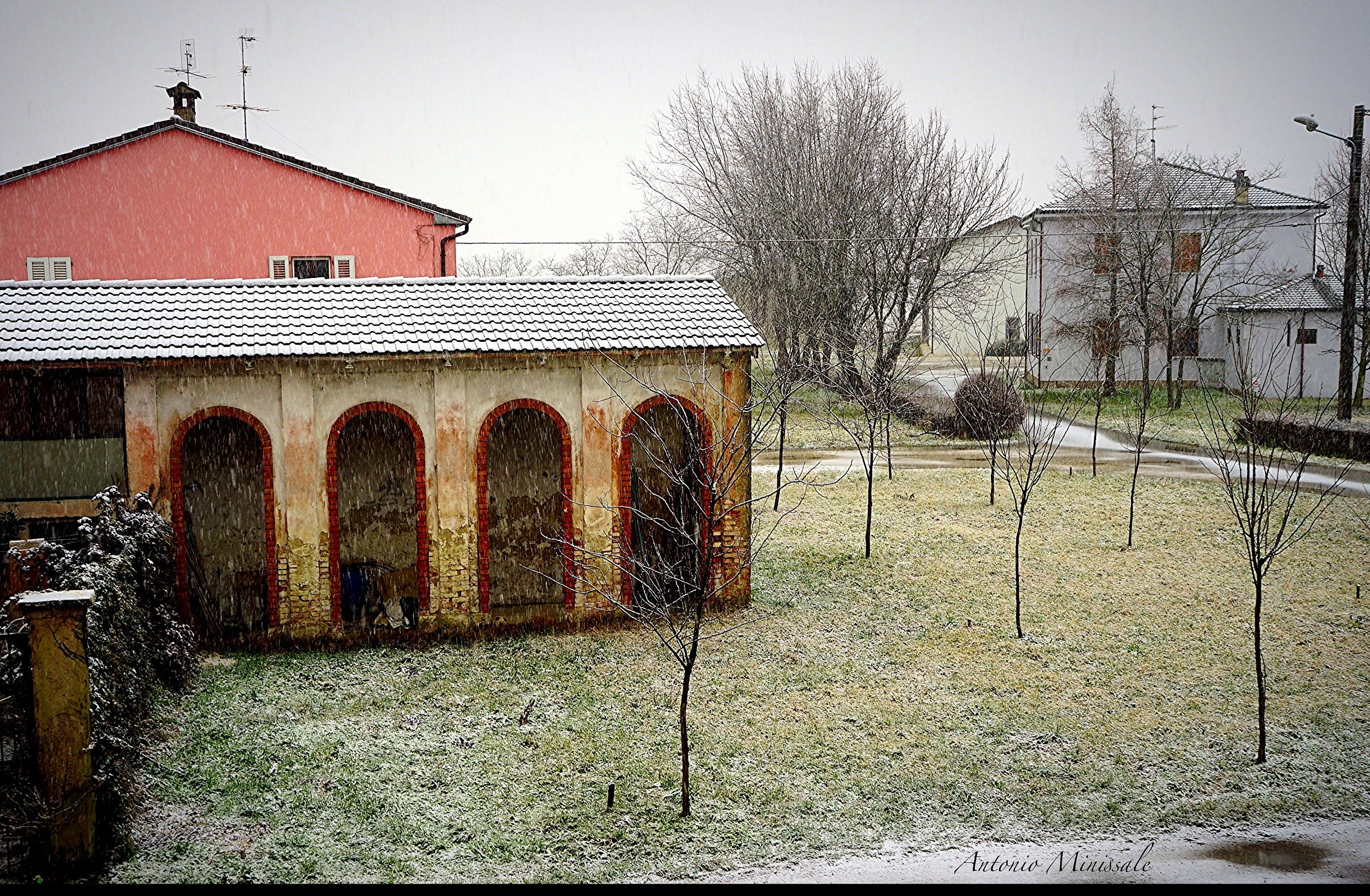 Torradello di Battuda (pv)