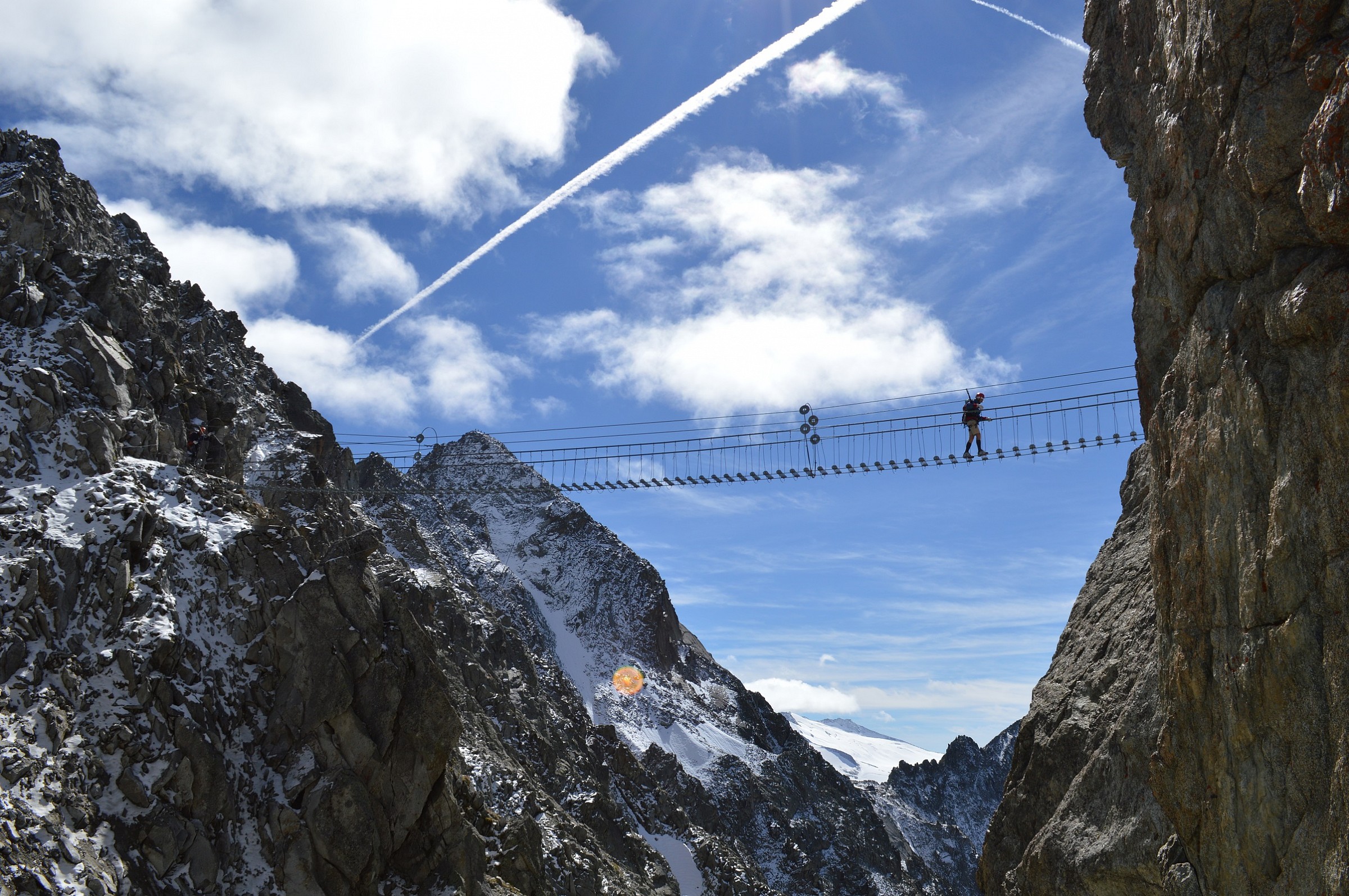Flower Trail Adamello