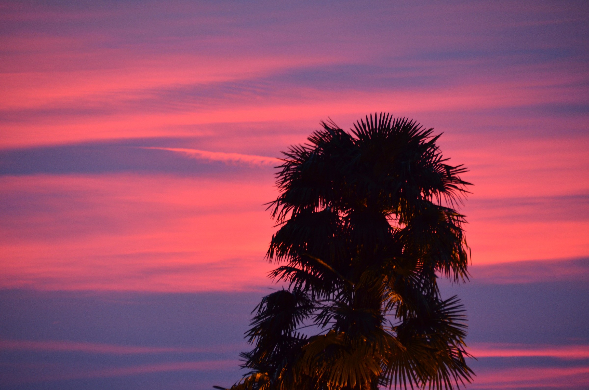 Last light before the night