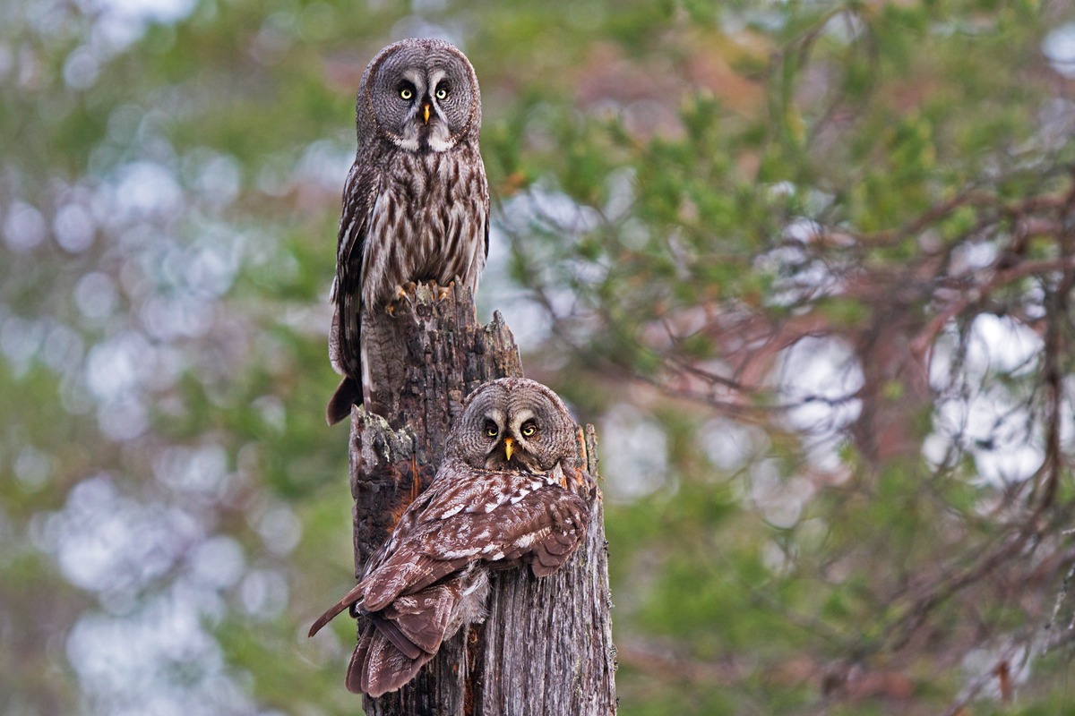 We are the most beautiful couple in the world ...