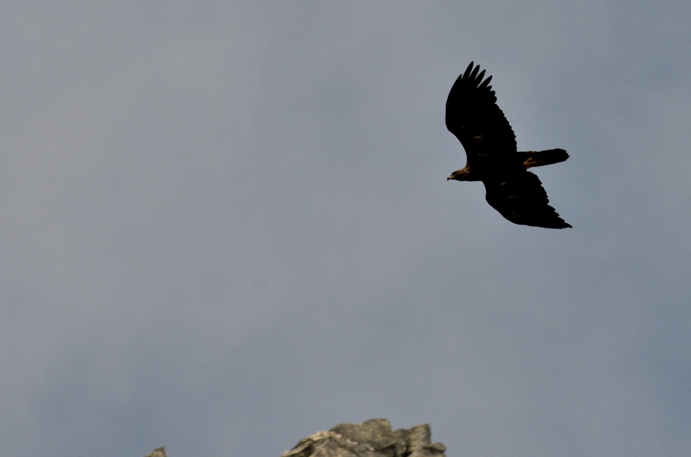 la dove osano le aquile