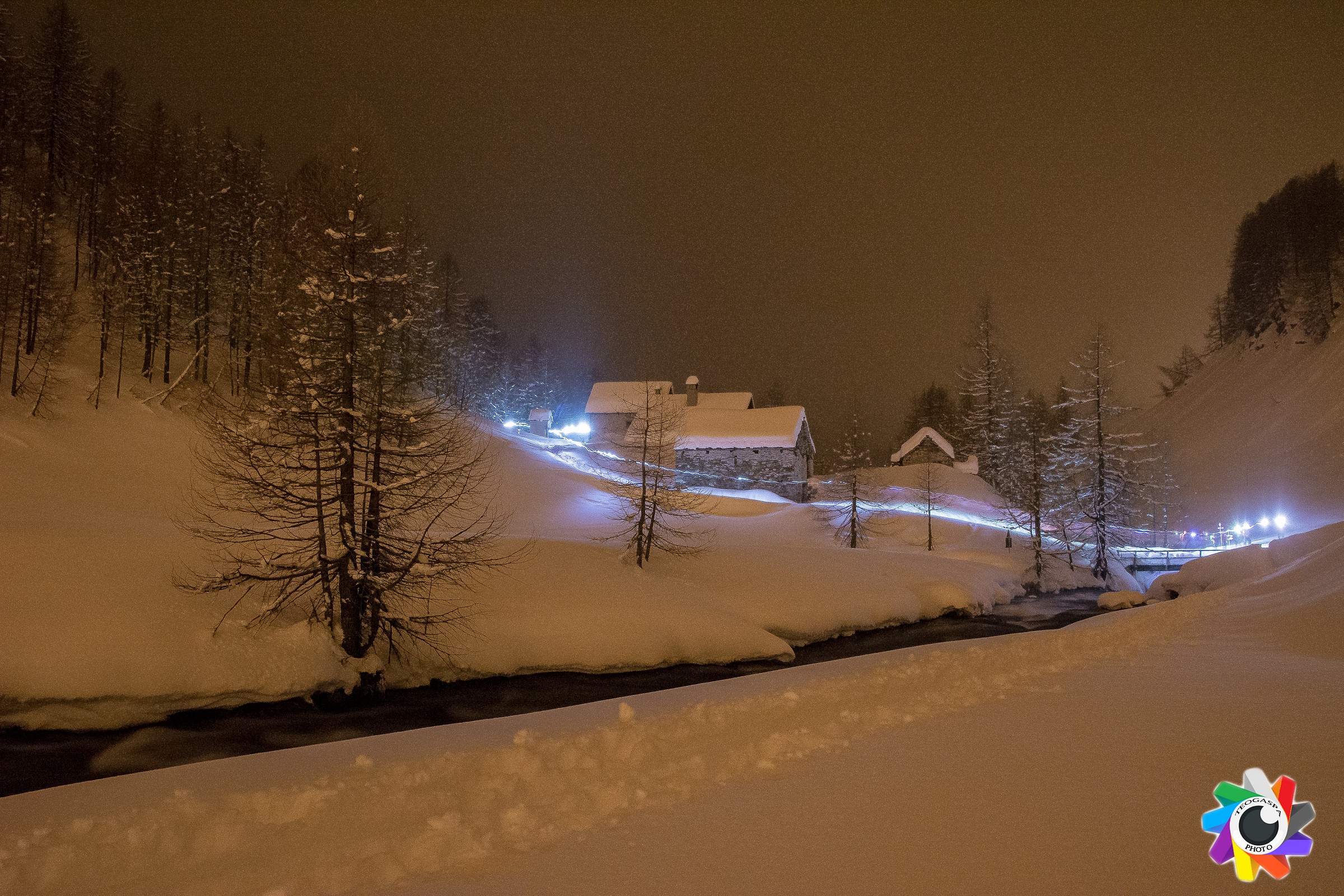 Camminando con le cispole