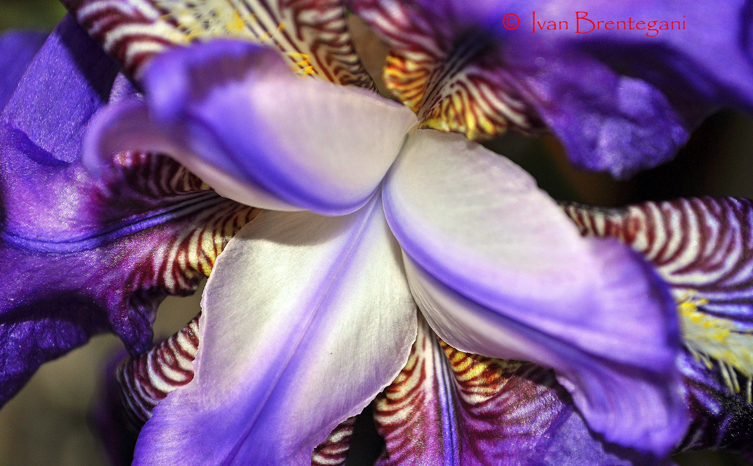 Nel blu dipinto di blu......