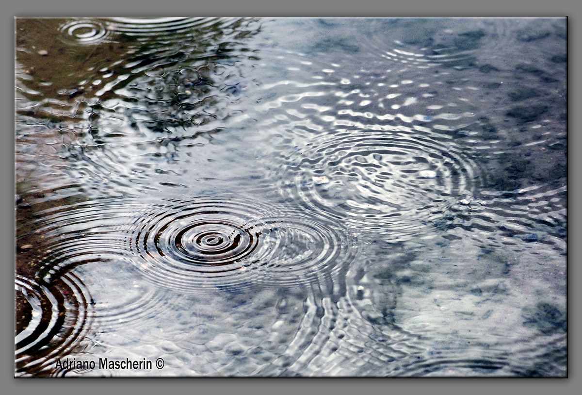 Gocce di pioggia.....