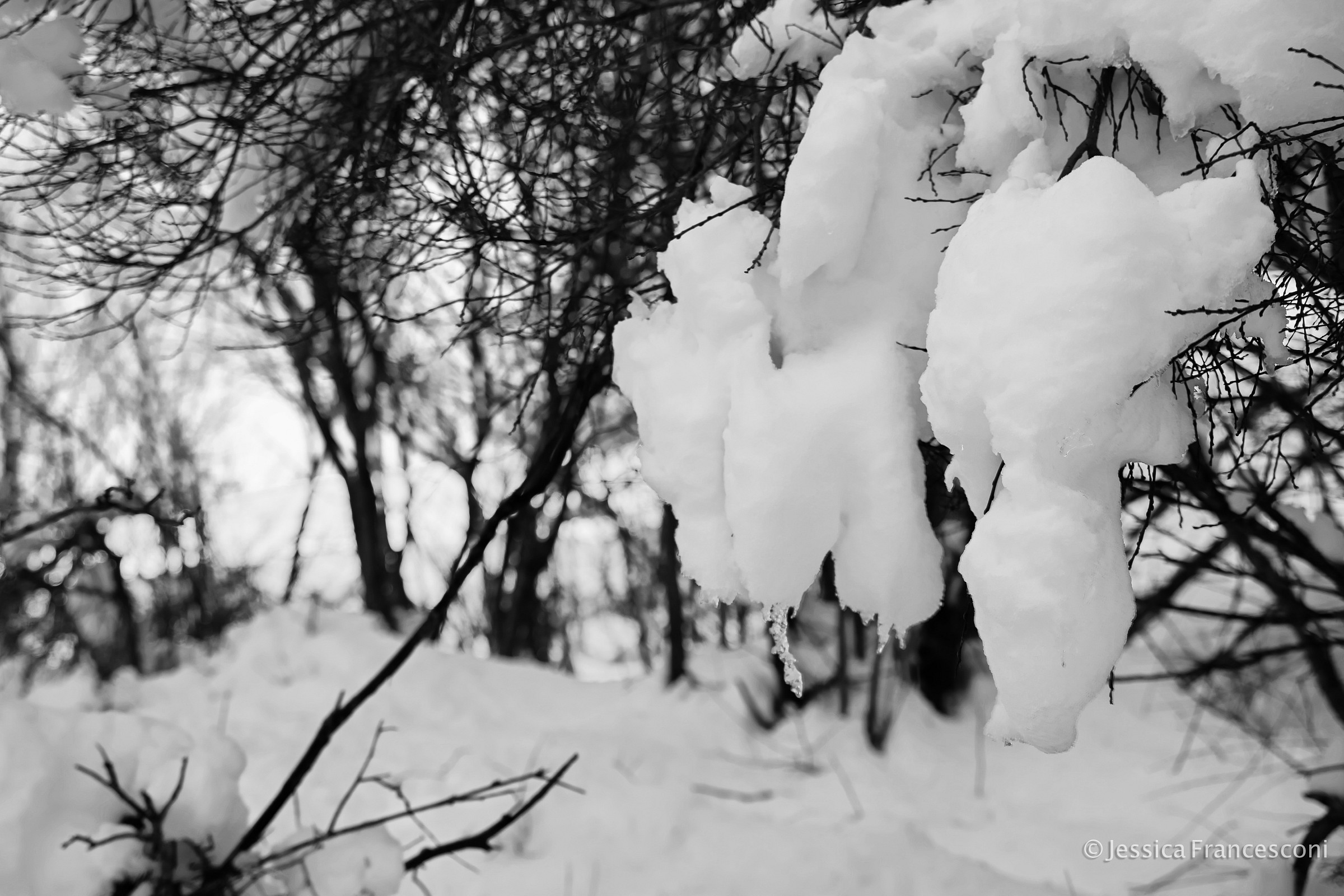 La neve vista da vicino...