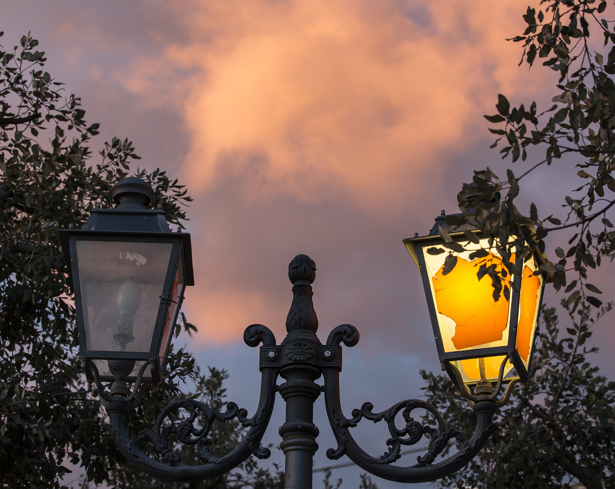 streetlight illuminates the clouds
