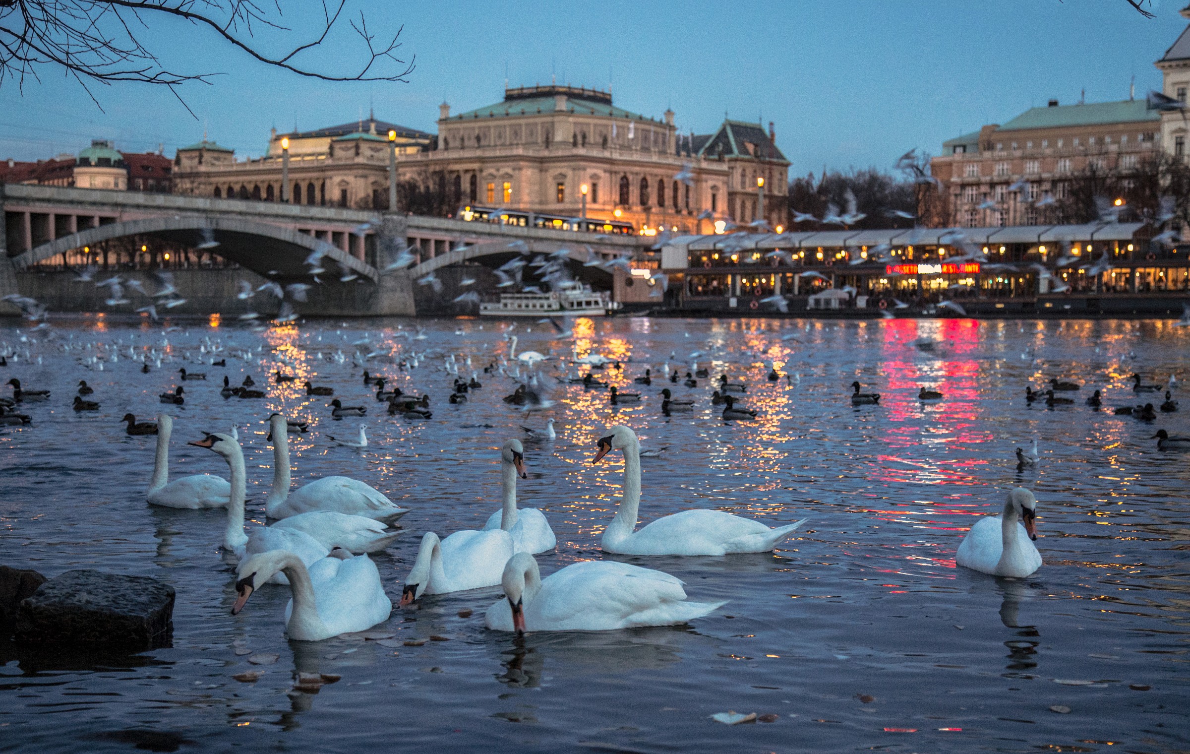 serata di ballo con le alli