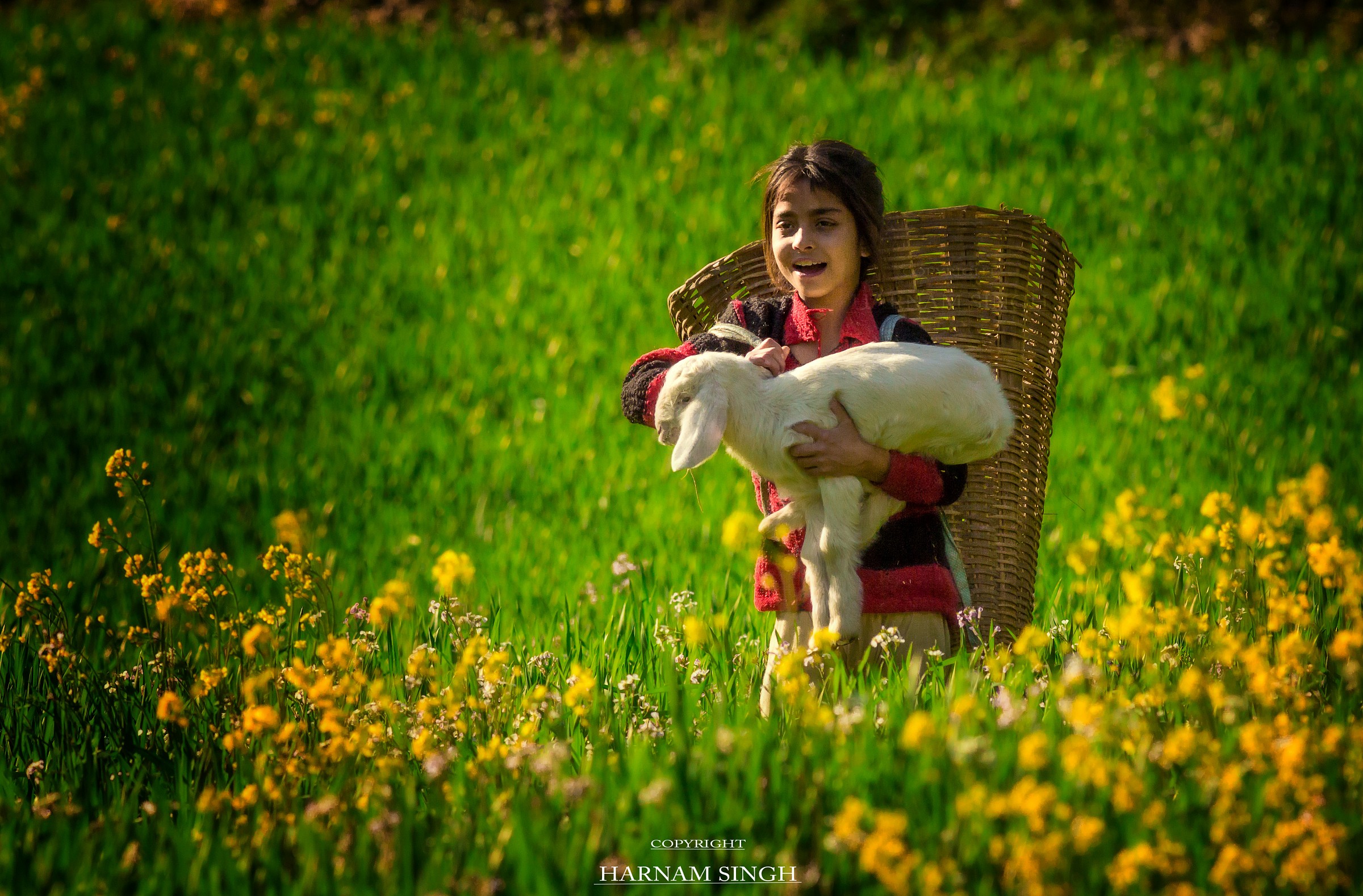 Una ragazza con il suo agnello