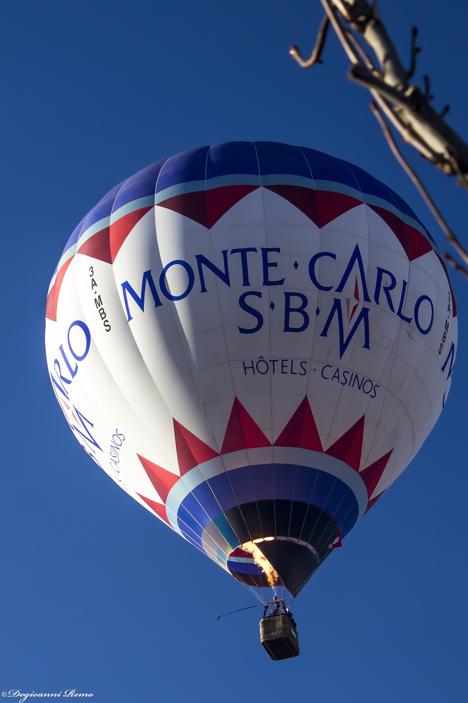 Montecarlo fly