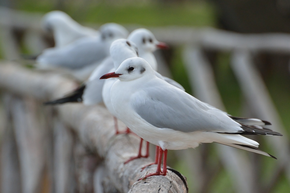 a moment of relaxation