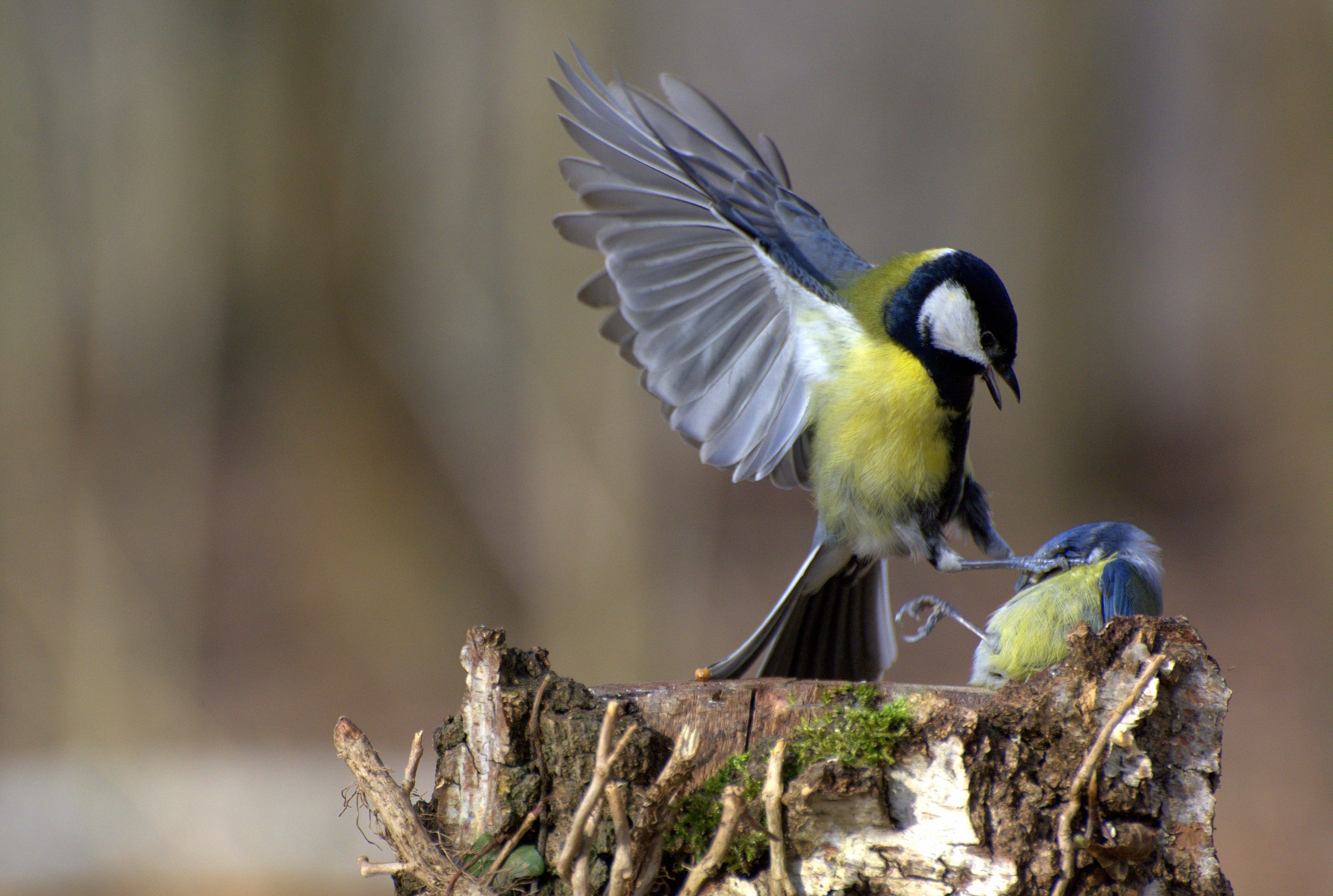 Clarifications .... a little heavy