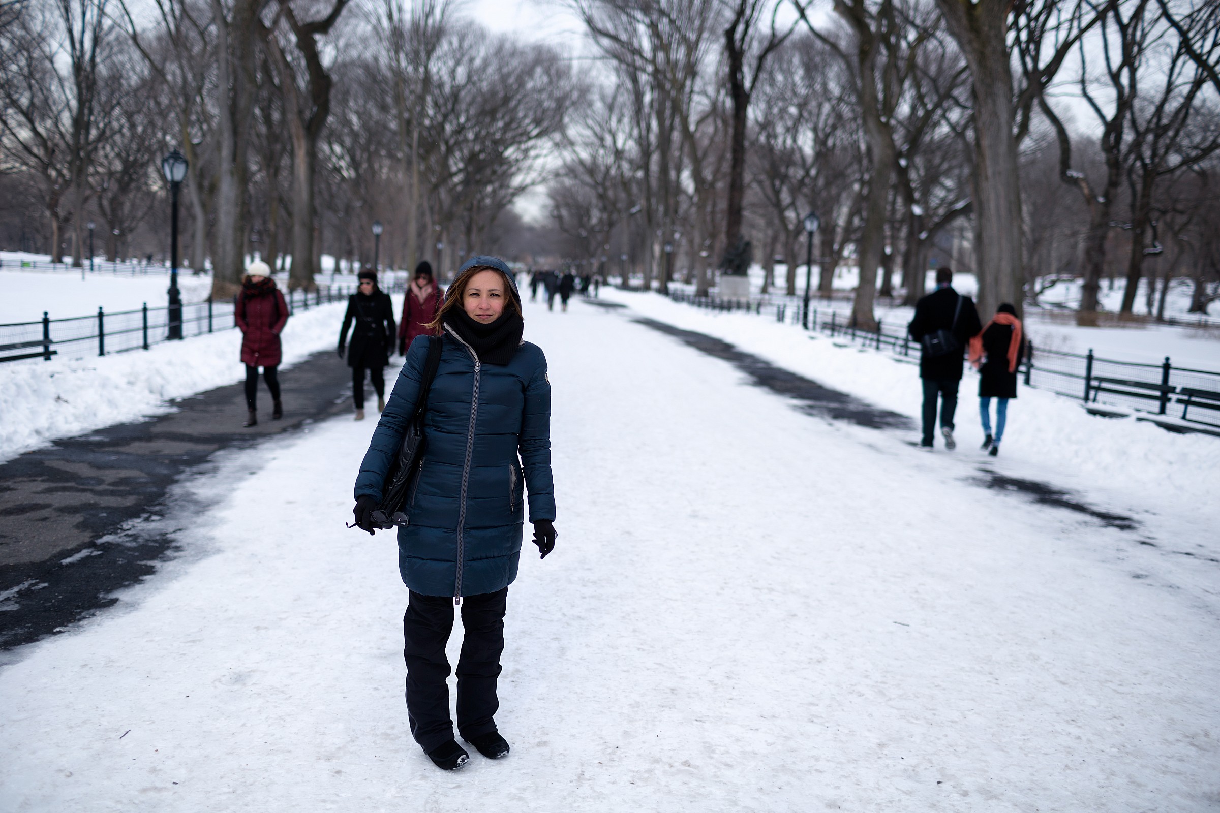 Snow in Central Park
