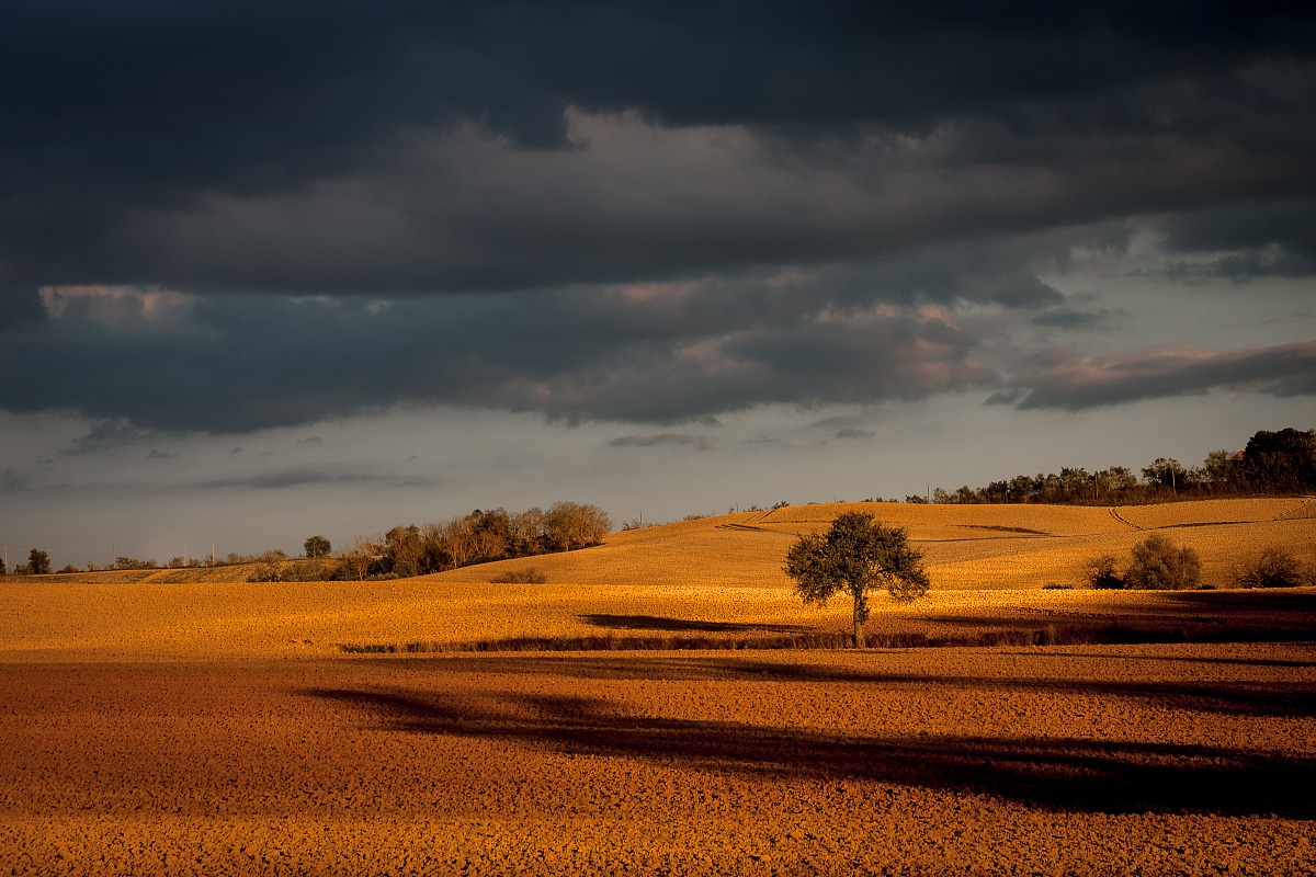 Ombre lunghe sulla terra di Siena ...