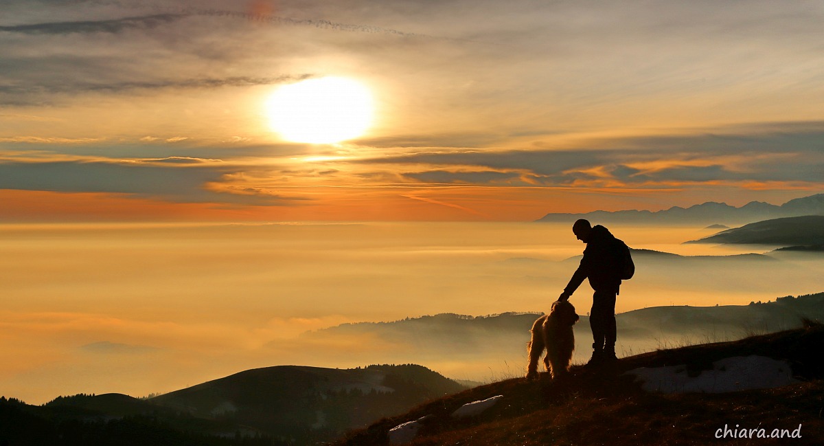 History of the Dog ..... tame 'the' man