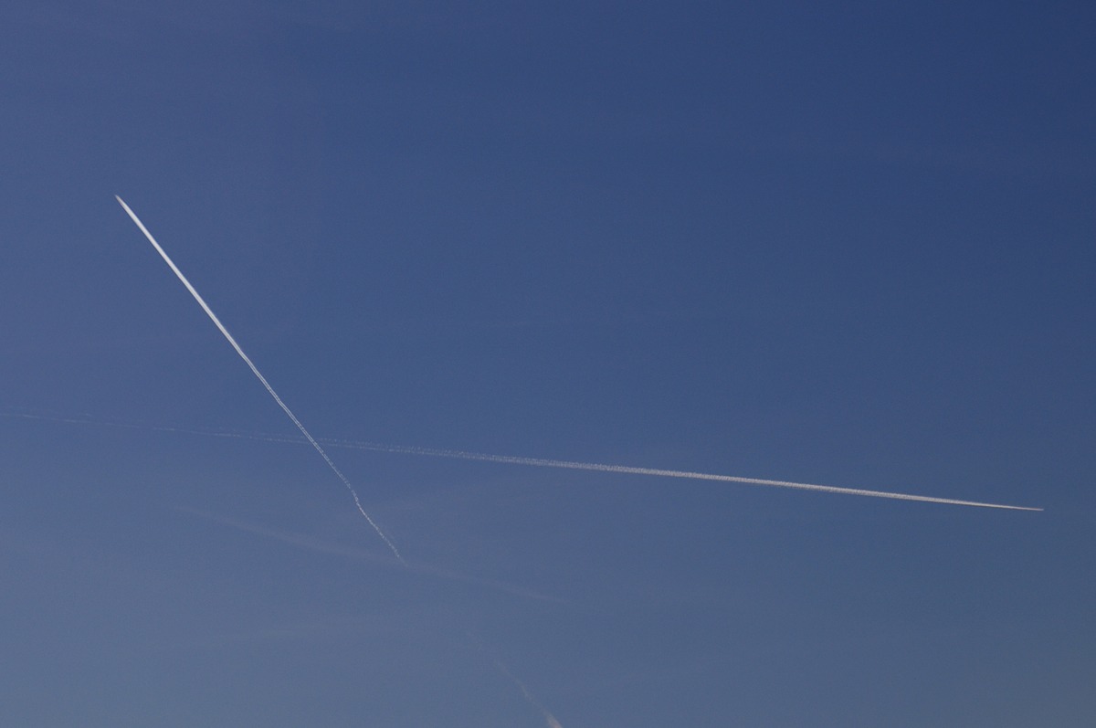 Scie