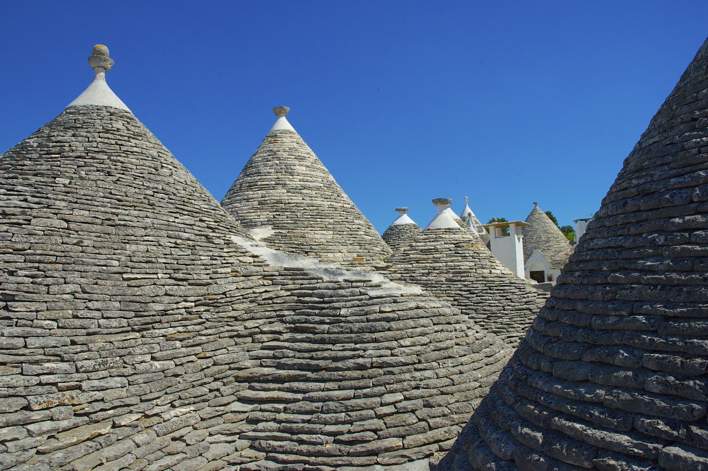 The Rooftops of Alberobello