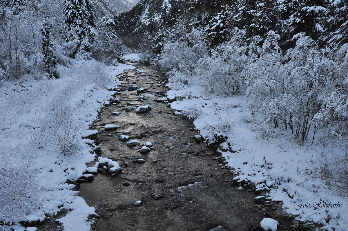 The stream in Winter ...