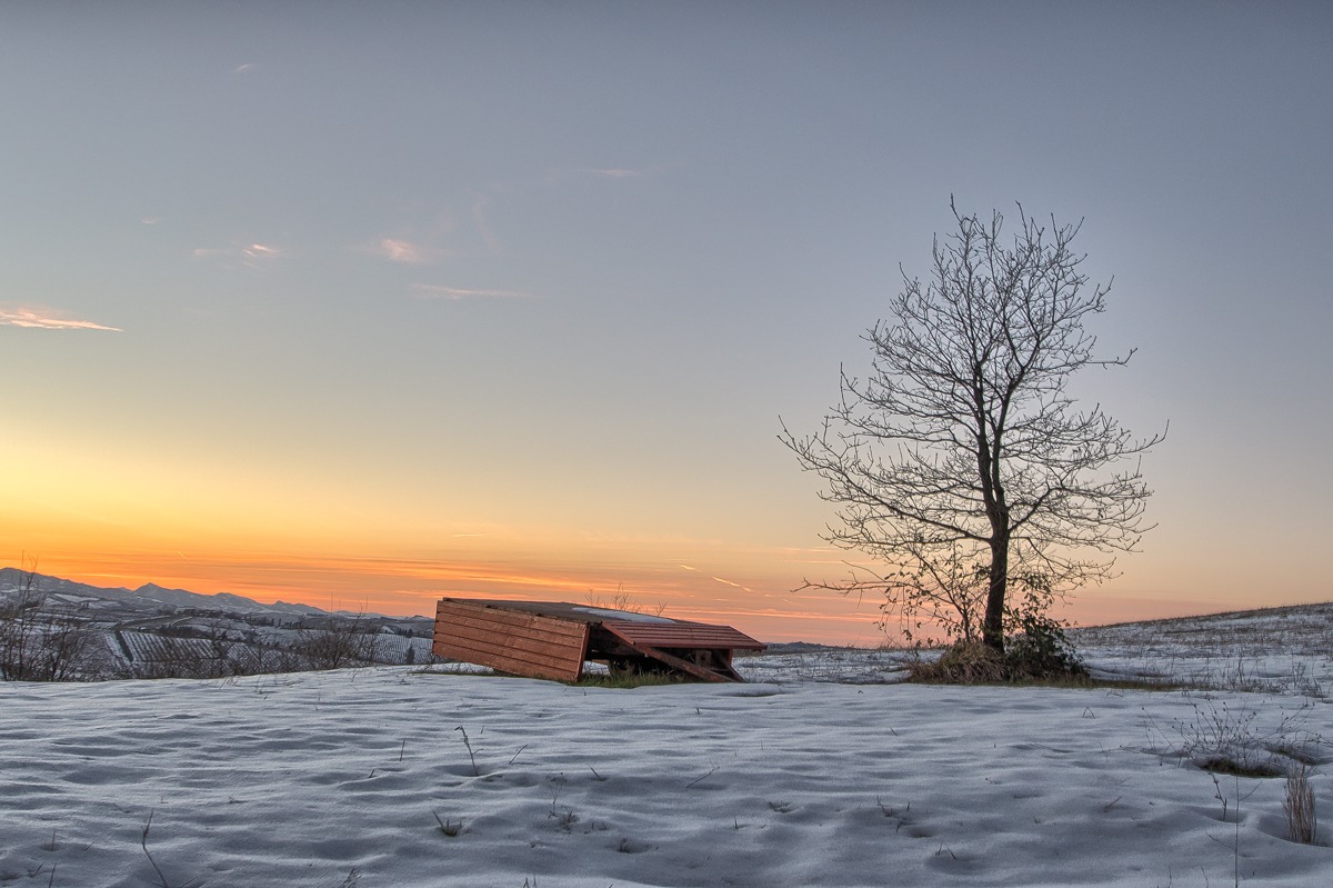 La solitudine e l'abbandono