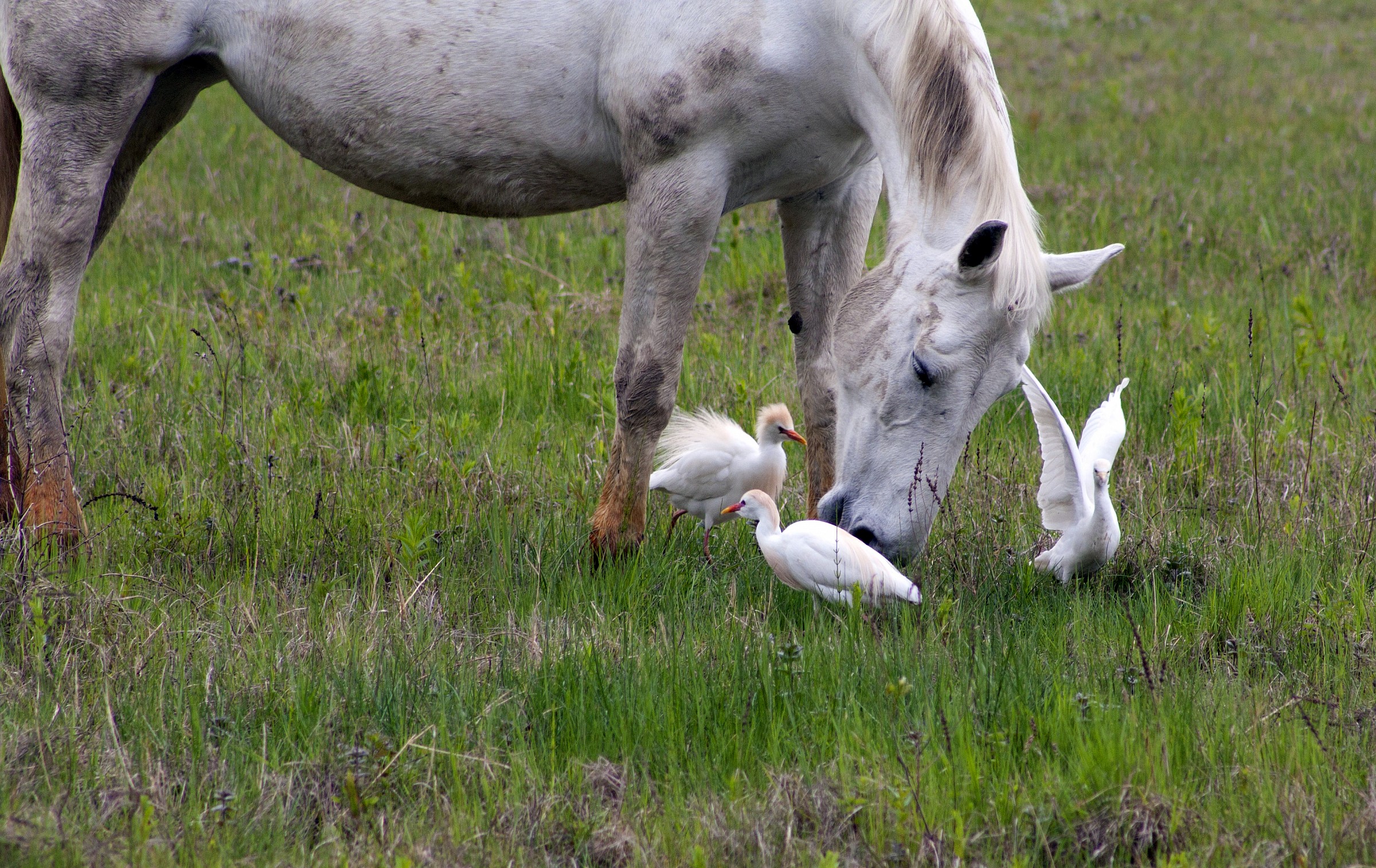 the more the merrier ..