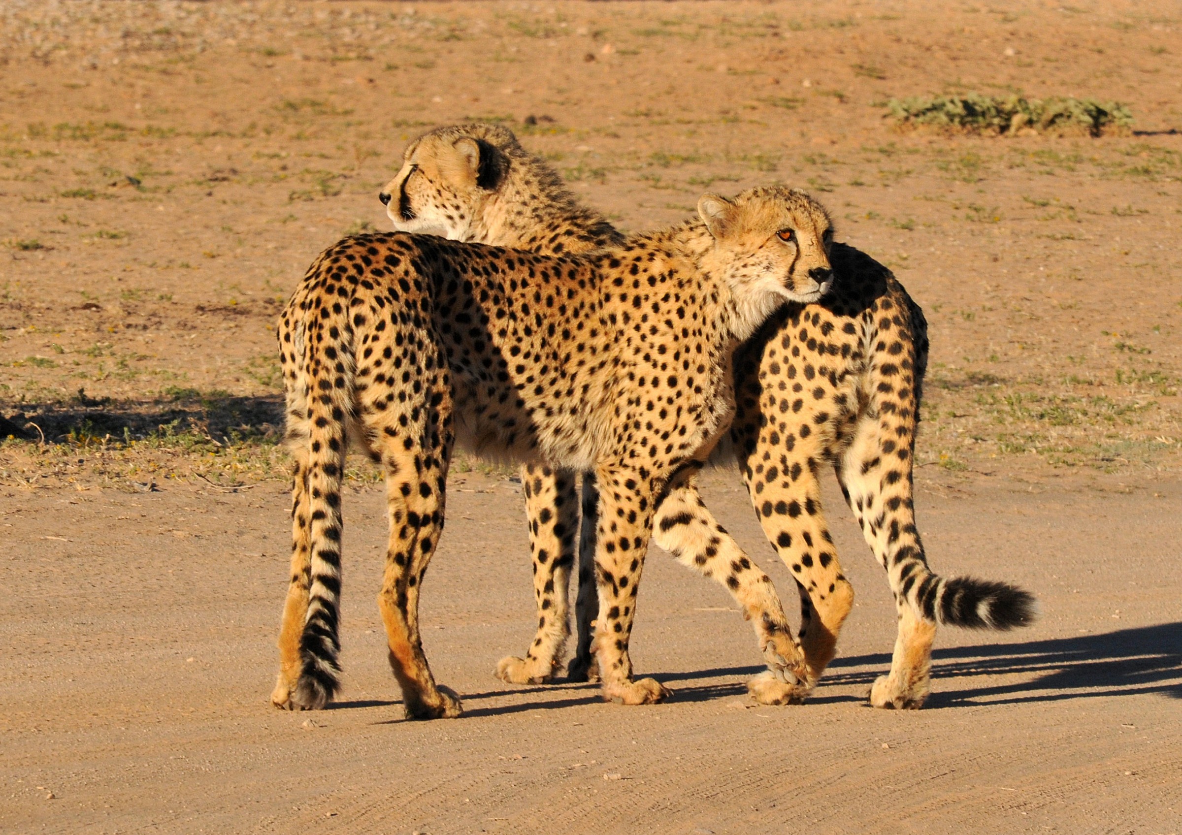 a look to the right and left