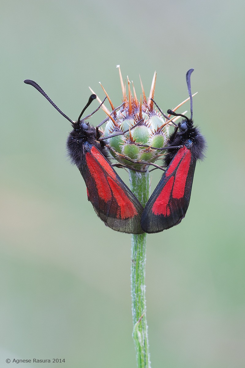 Do not keep me on your toes!