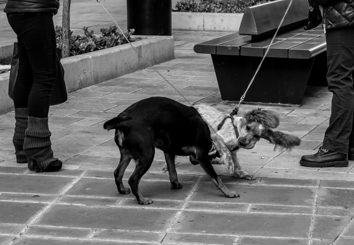 Oggi è San Valentino, dobbiamo stare vicini, vicini.....