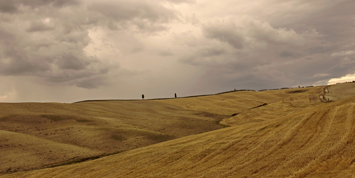 Tempaccio in Val d'Orcia