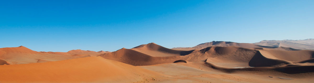 Namib desert
