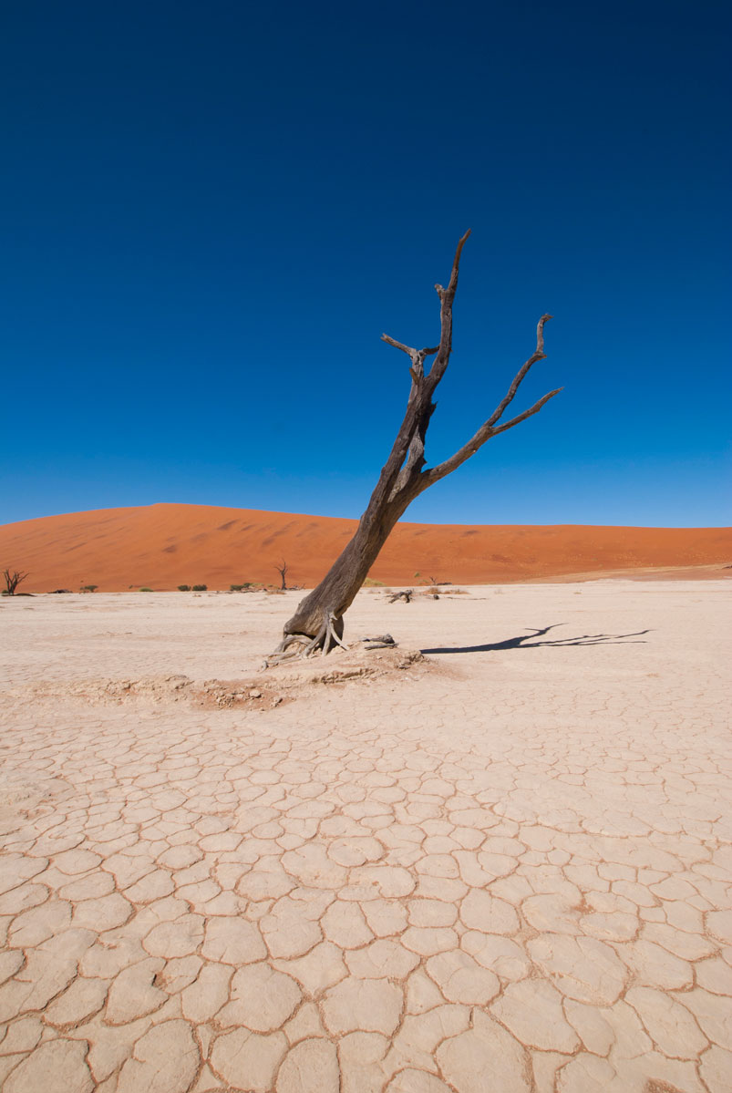 deadvlei