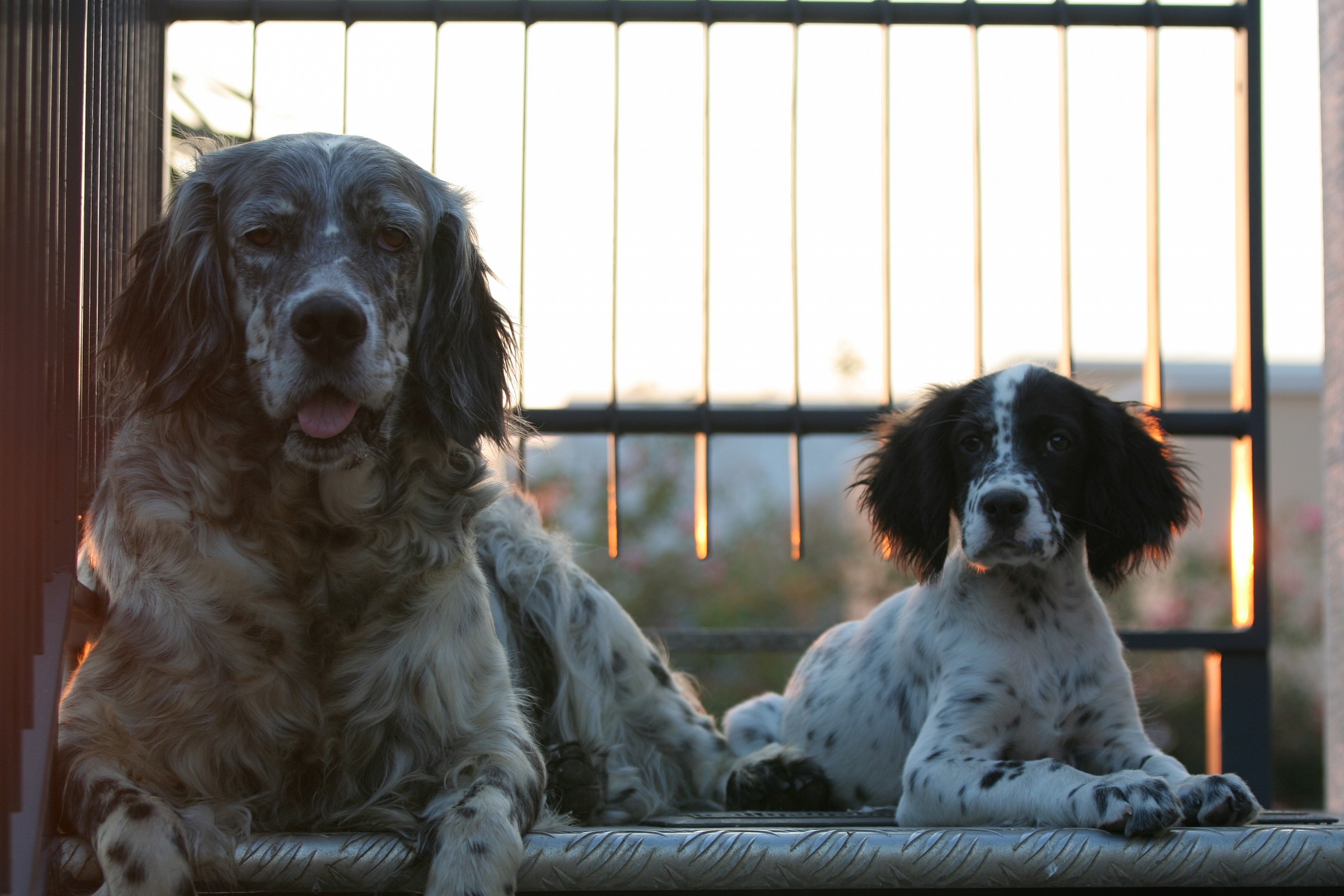 Generazioni a confronto