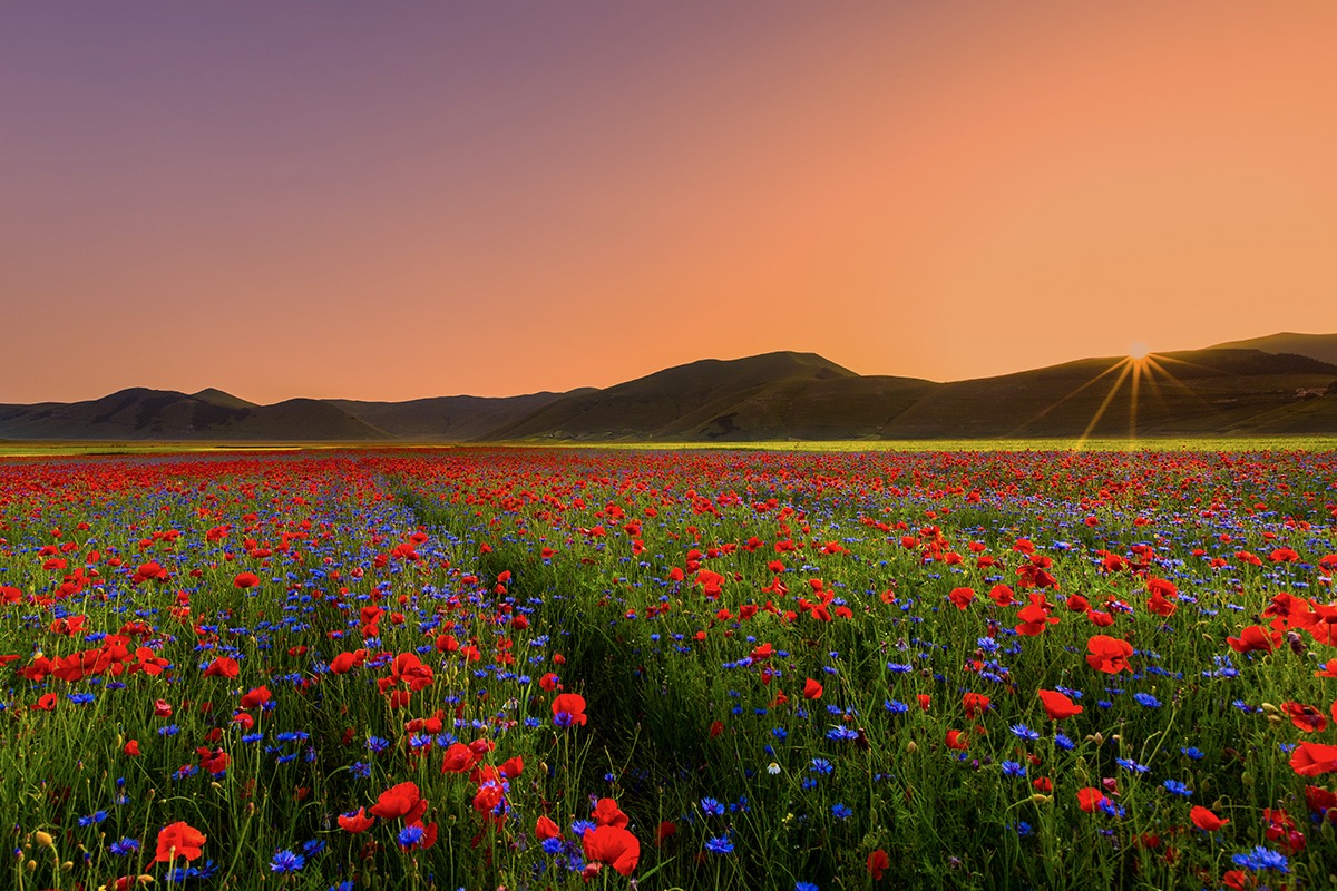 Castelluccio at sunset