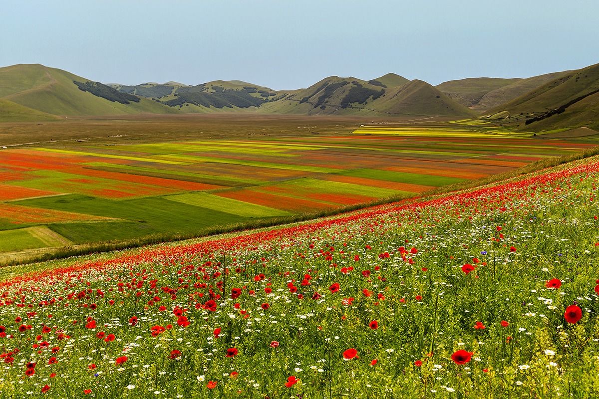 Summer in Castelluccio