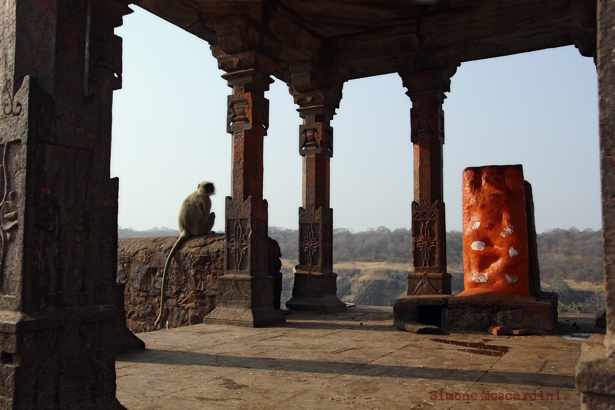 Piccolo tempio nel forte di Ranthambore