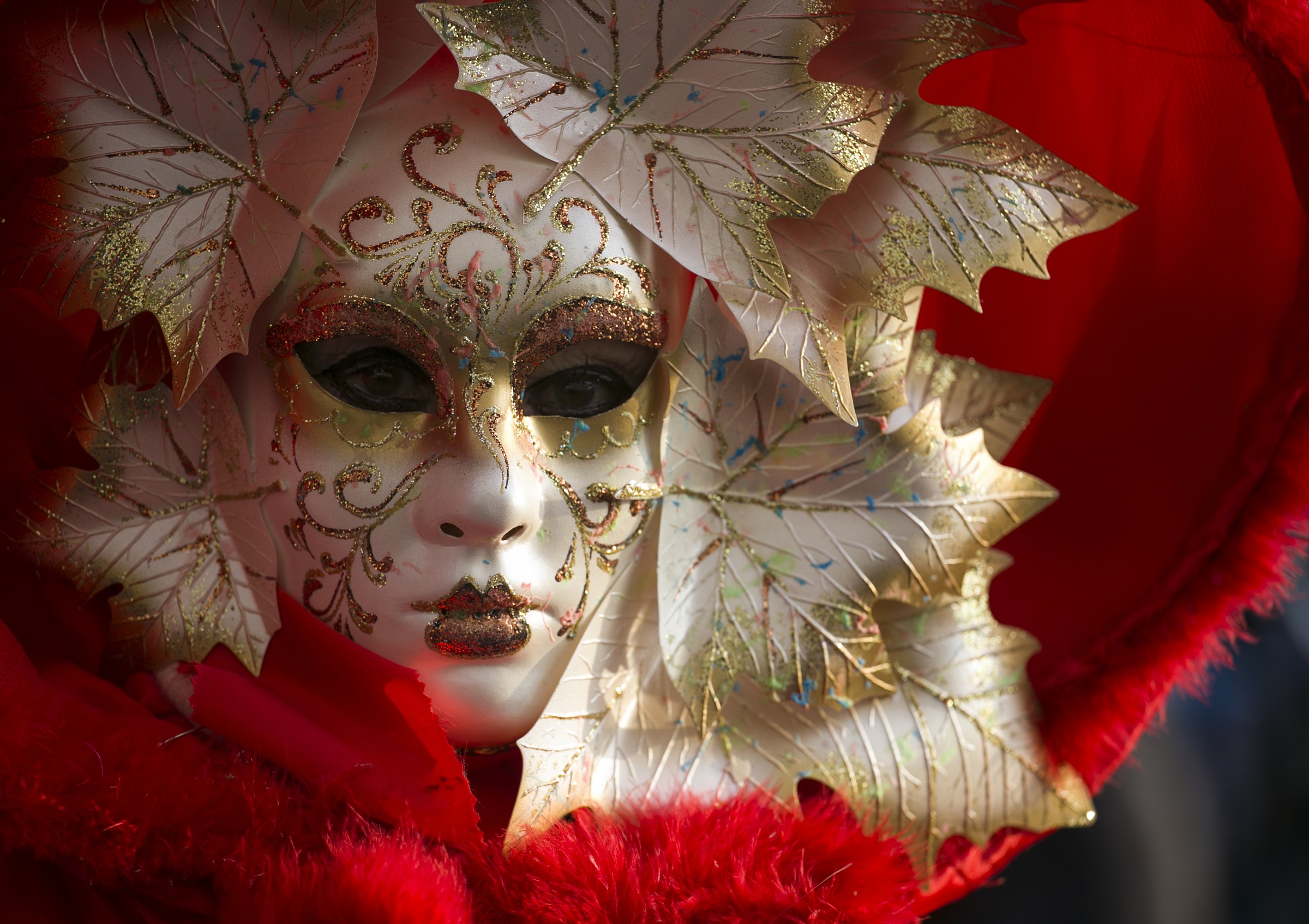 Carnevale Venezia 1