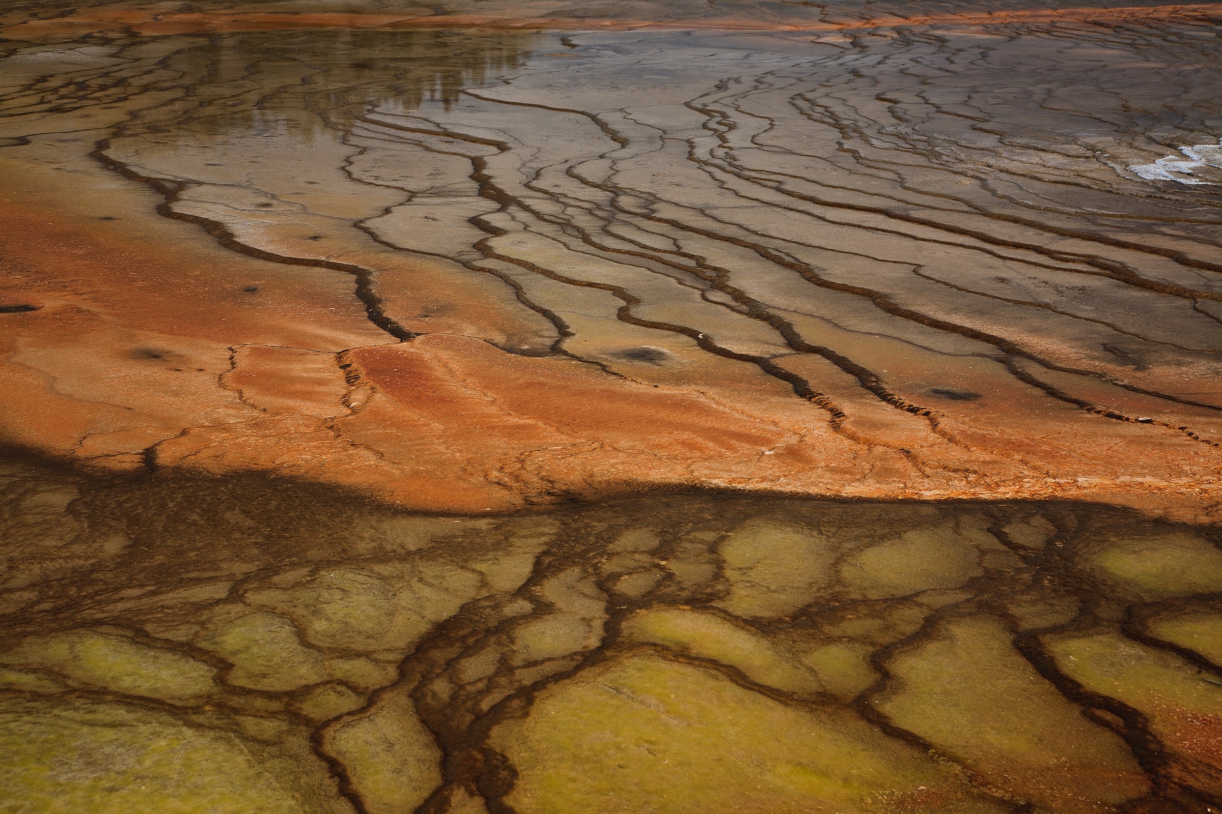 Grand Prismatic Speing 4