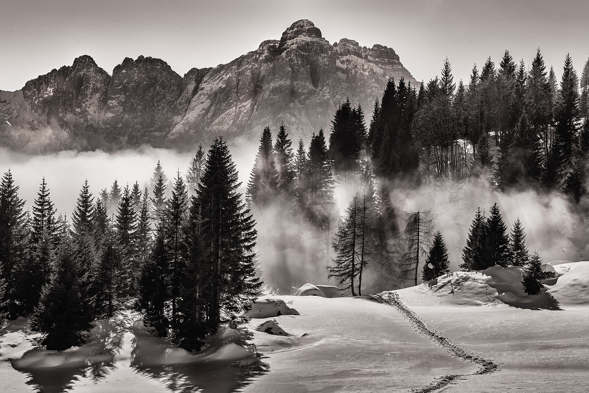 Just outside the fog