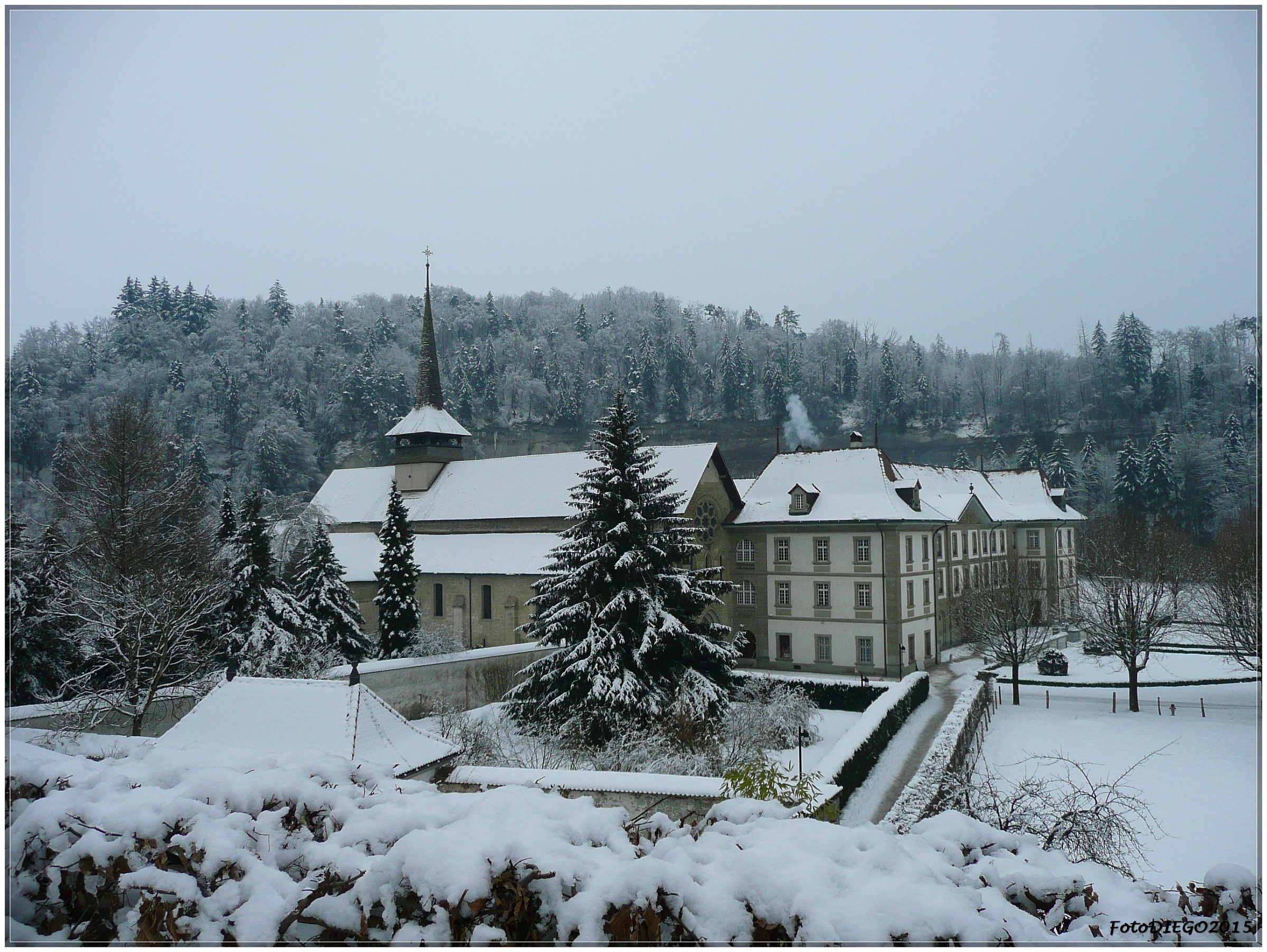 Hauterive, l'Abbazia