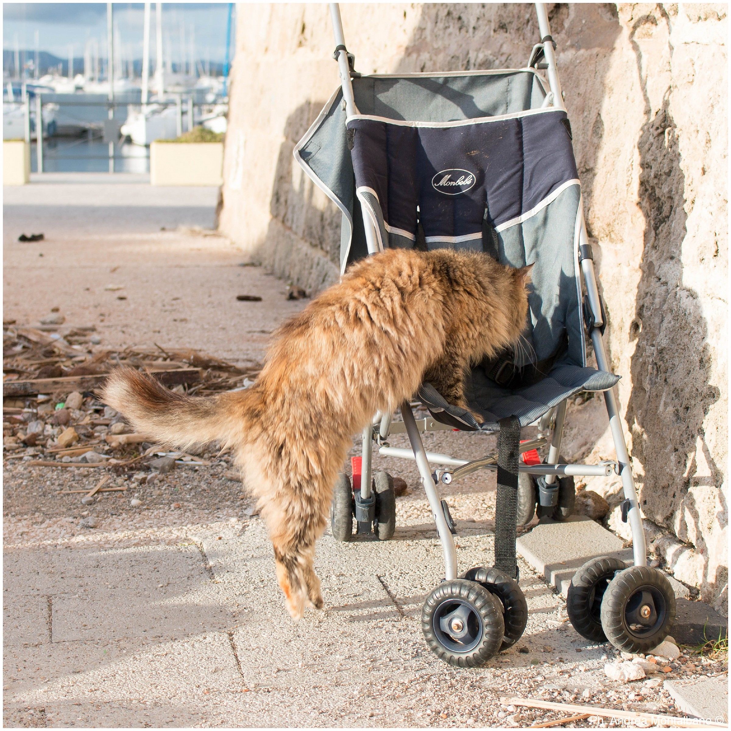 mi porti a fare una passeggiata?